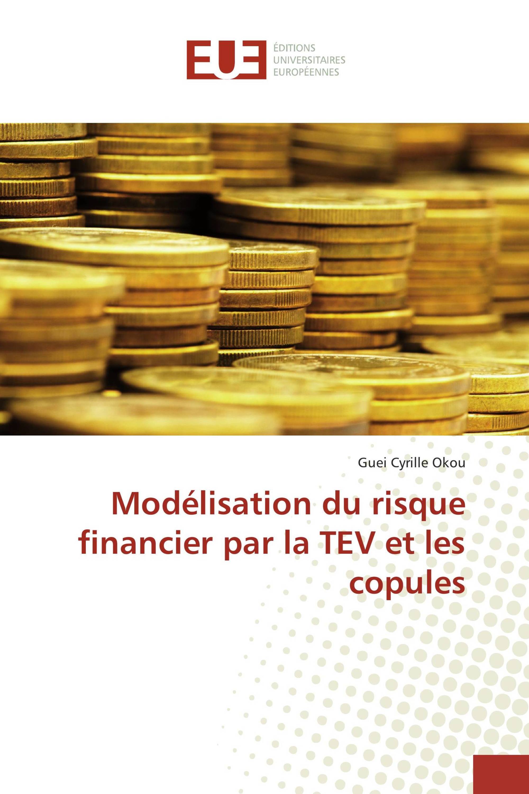 Modélisation du risque financier par la TEV et les copules