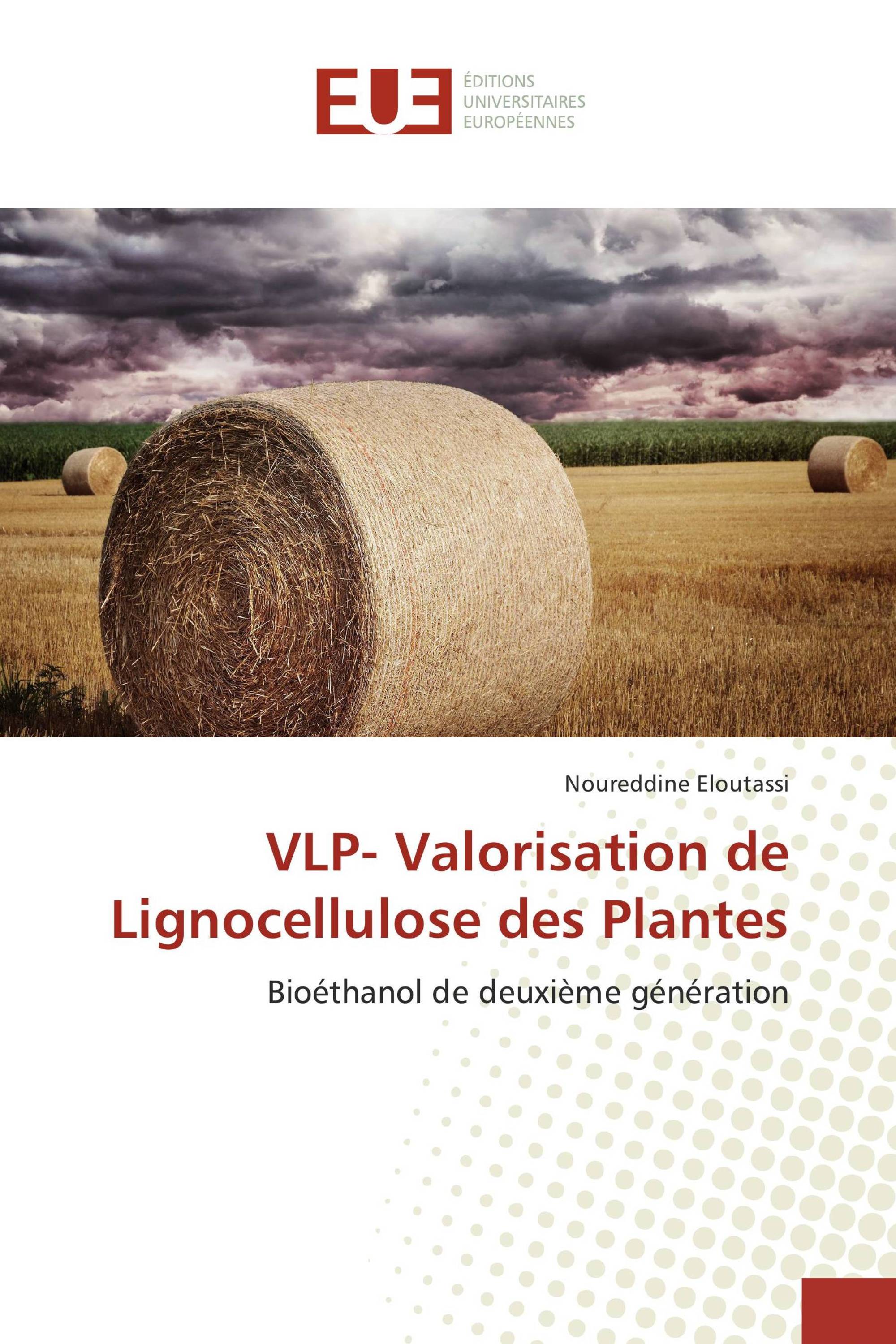 VLP- Valorisation de Lignocellulose des Plantes