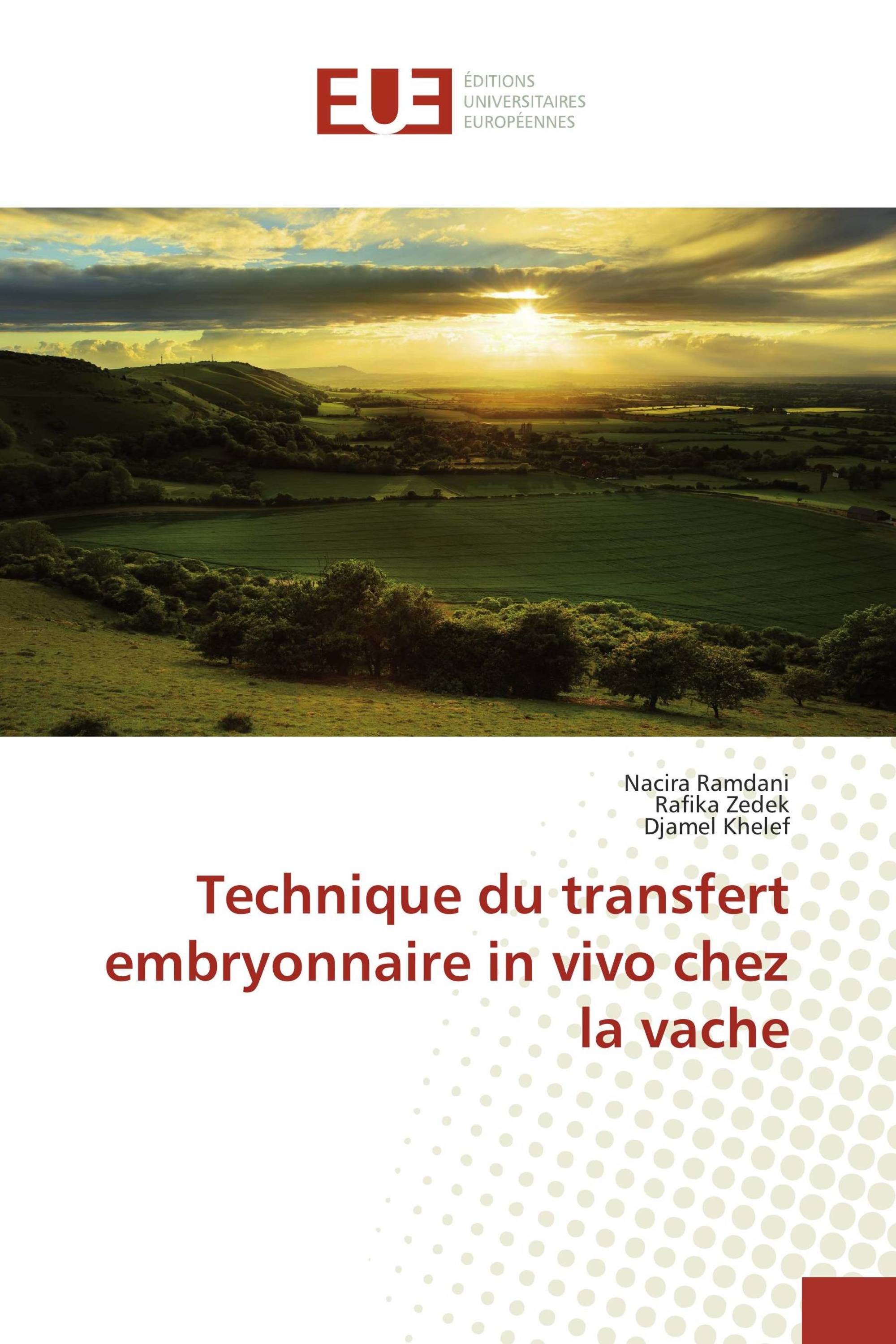 Technique du transfert embryonnaire in vivo chez la vache