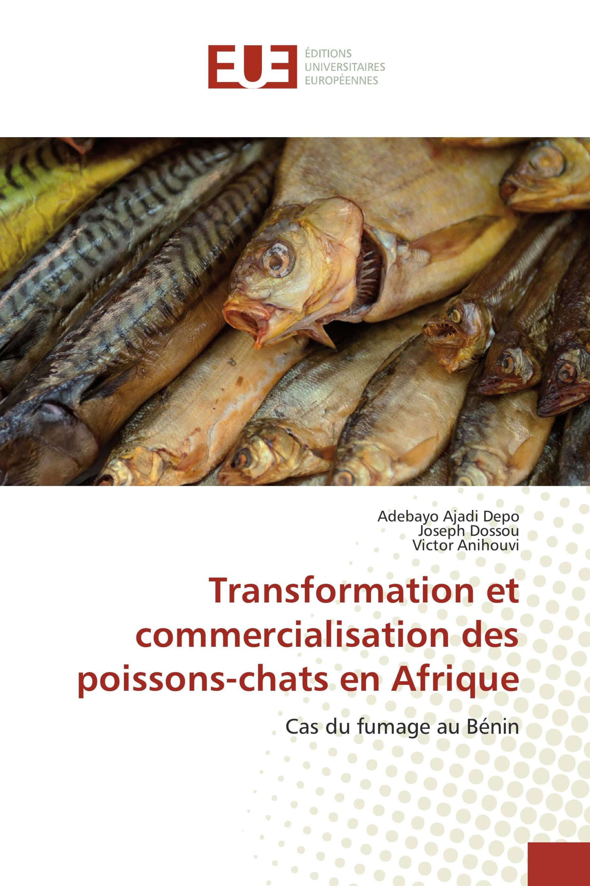 Transformation et commercialisation des poissons-chats en Afrique