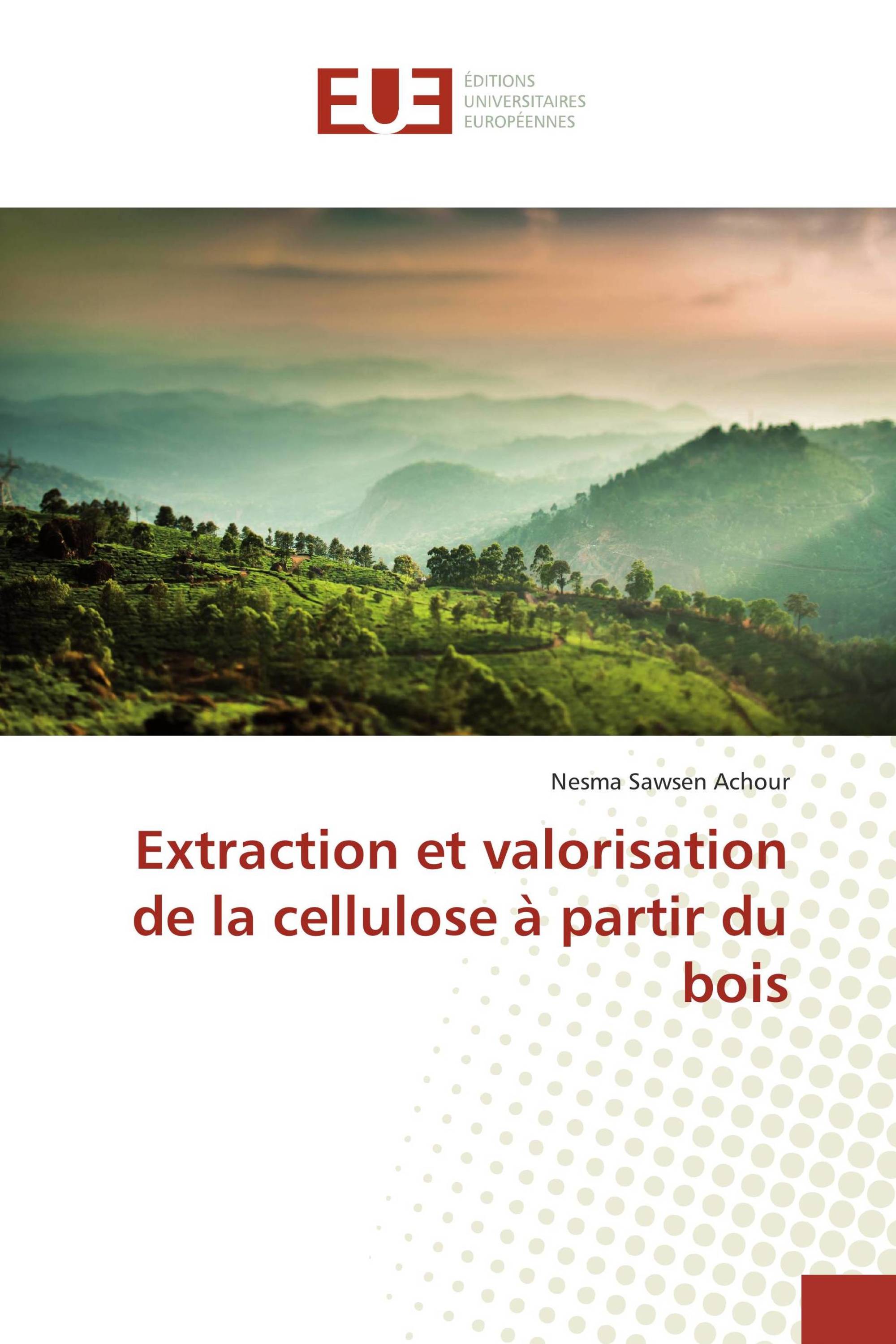 Extraction et valorisation de la cellulose à partir du bois