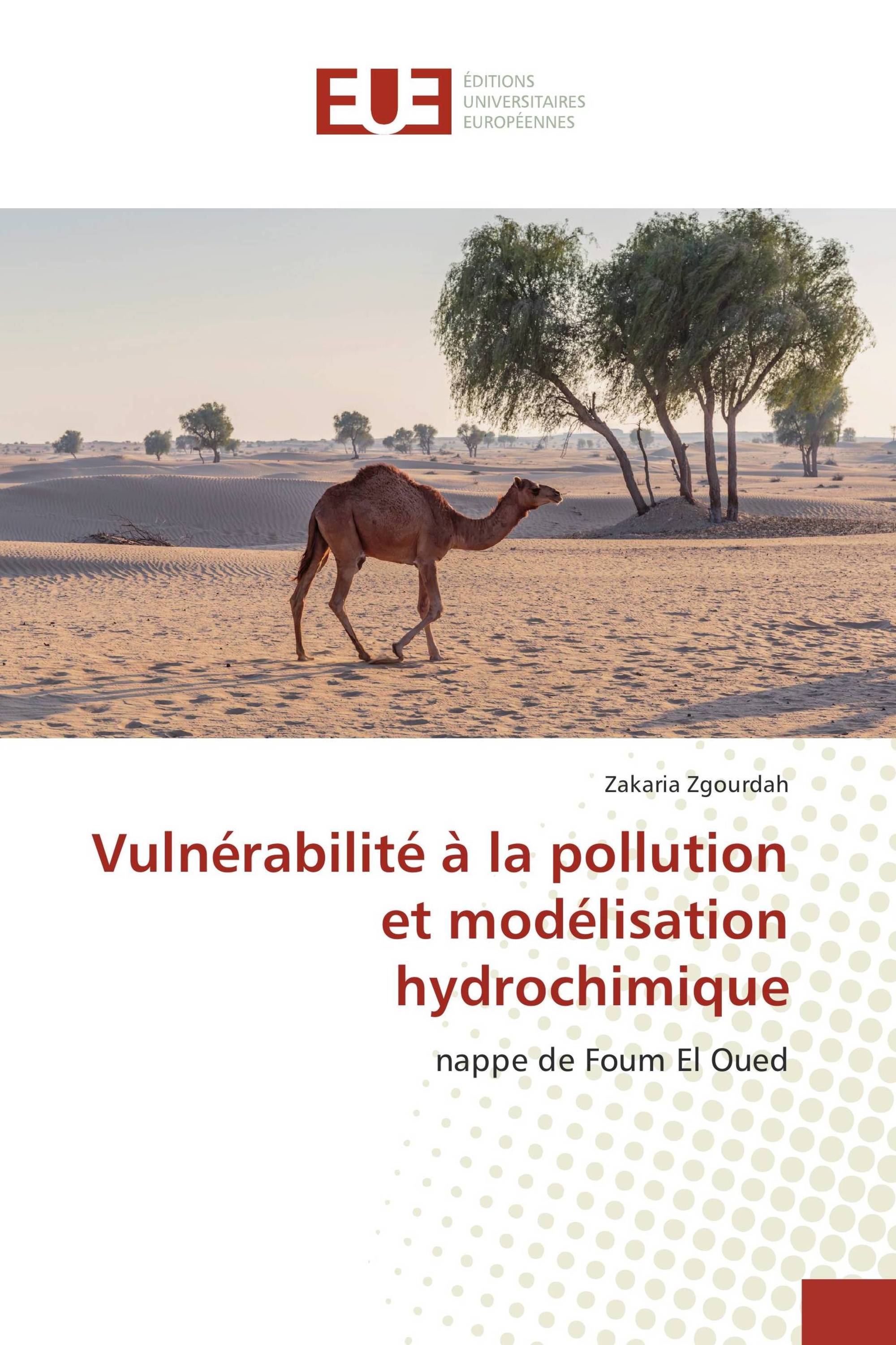 Vulnérabilité à la pollution et modélisation hydrochimique