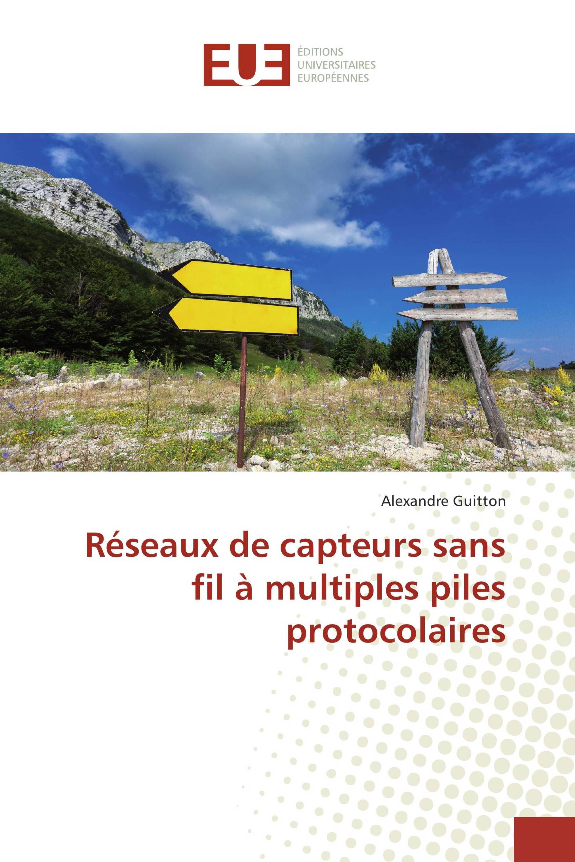 Réseaux de capteurs sans fil à multiples piles protocolaires