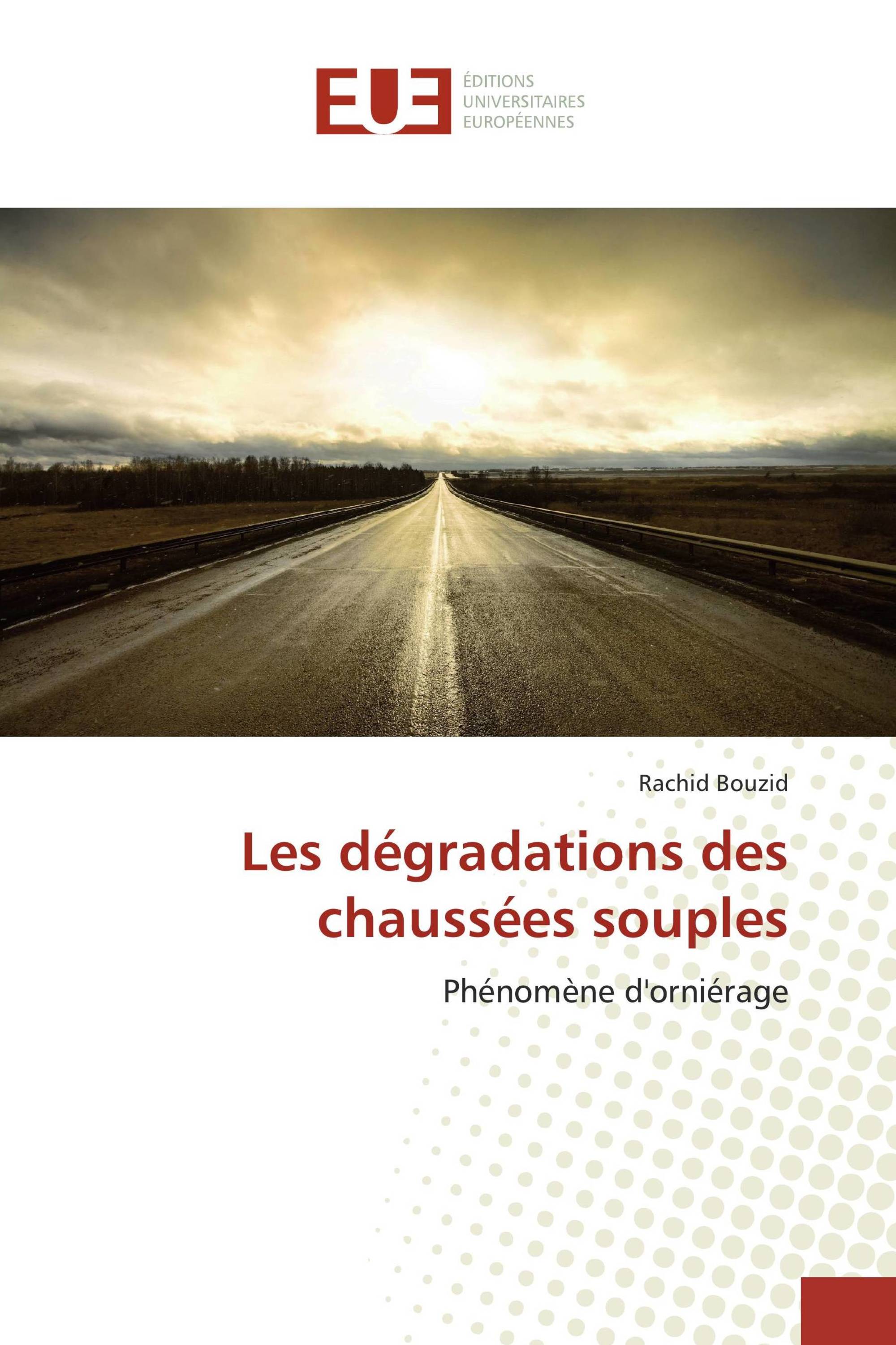 Les dégradations des chaussées souples