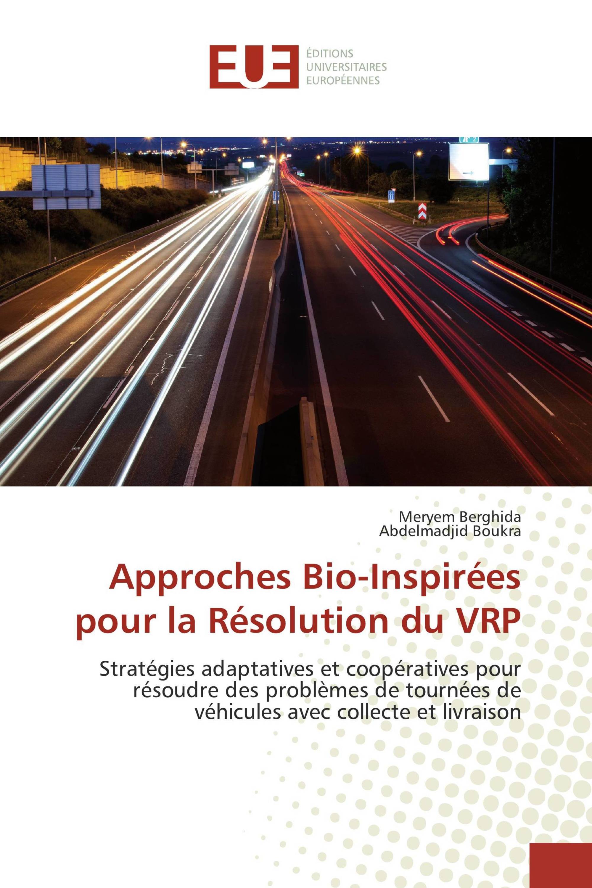 Approches Bio-Inspirées pour la Résolution du VRP