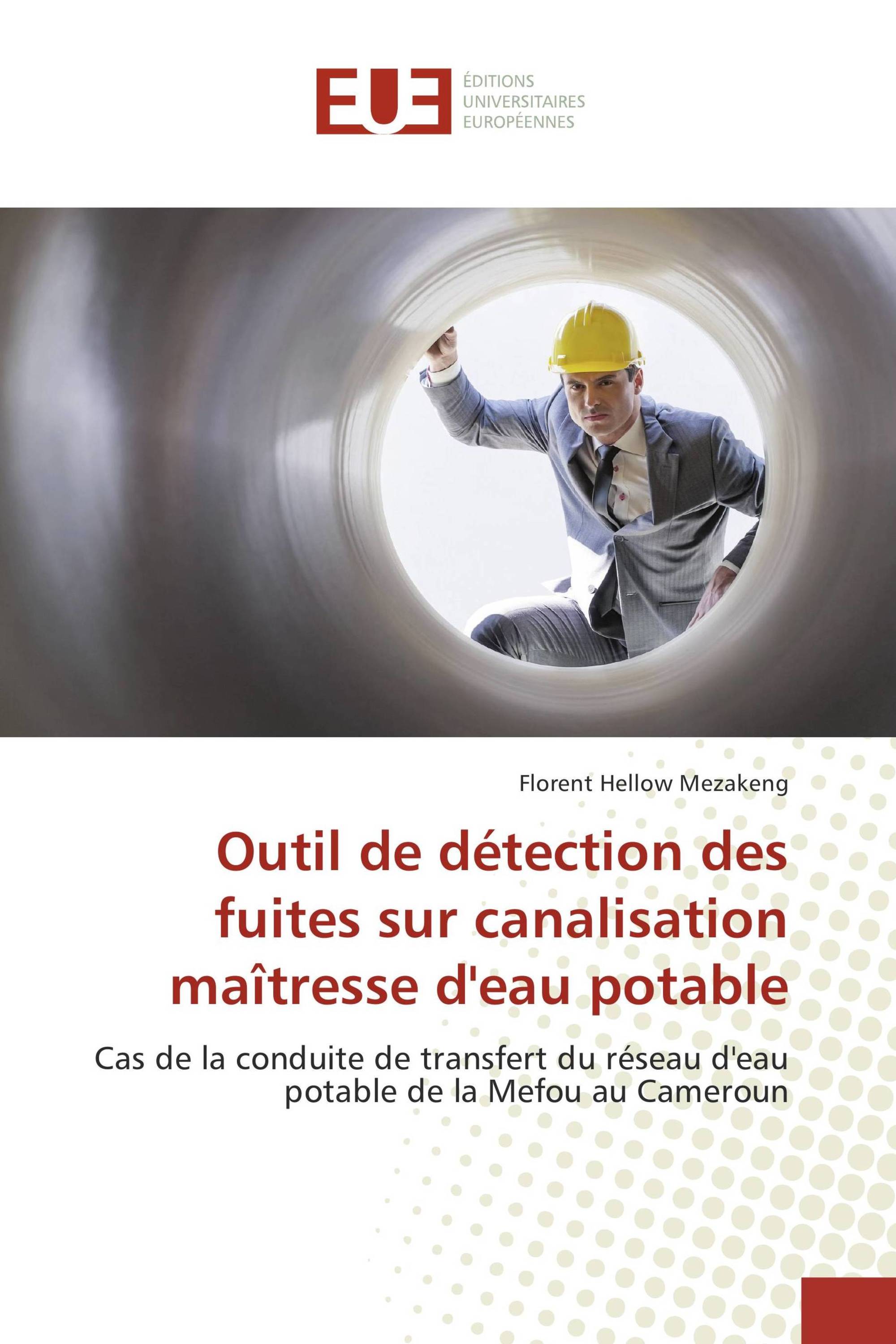 Outil de détection des fuites sur canalisation maîtresse d'eau potable