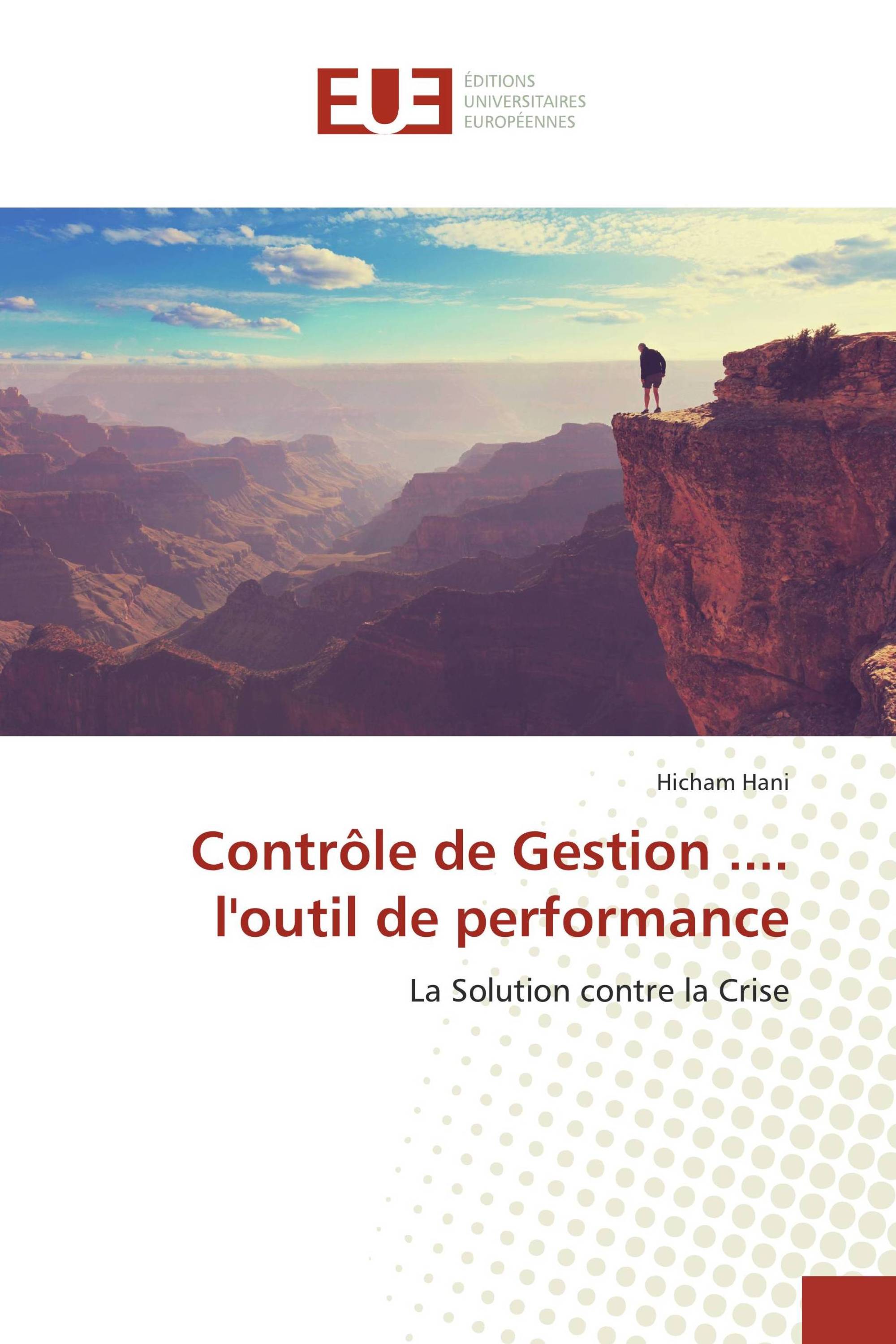 Contrôle de Gestion .... l'outil de performance