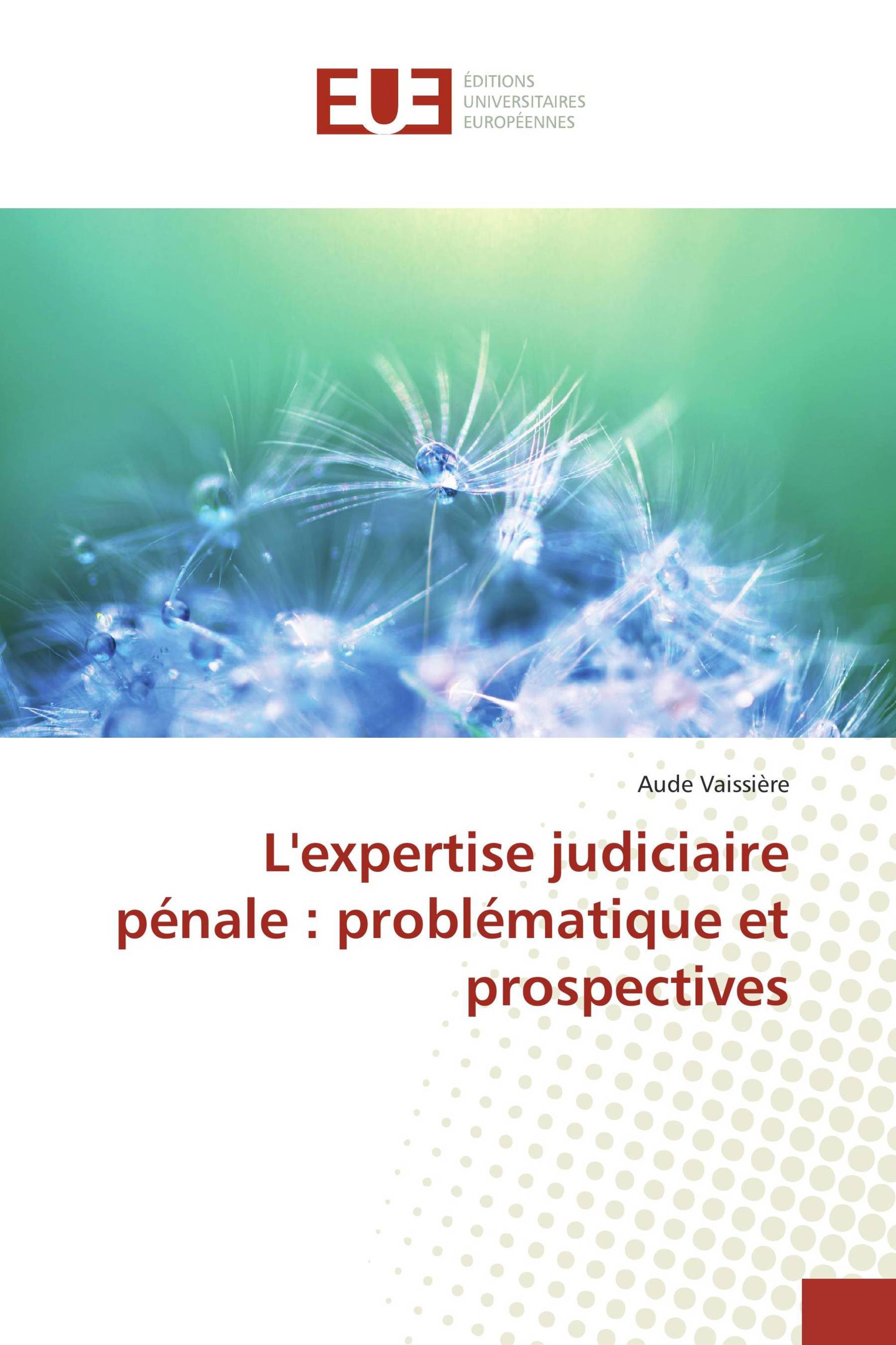 L'expertise judiciaire pénale : problématique et prospectives