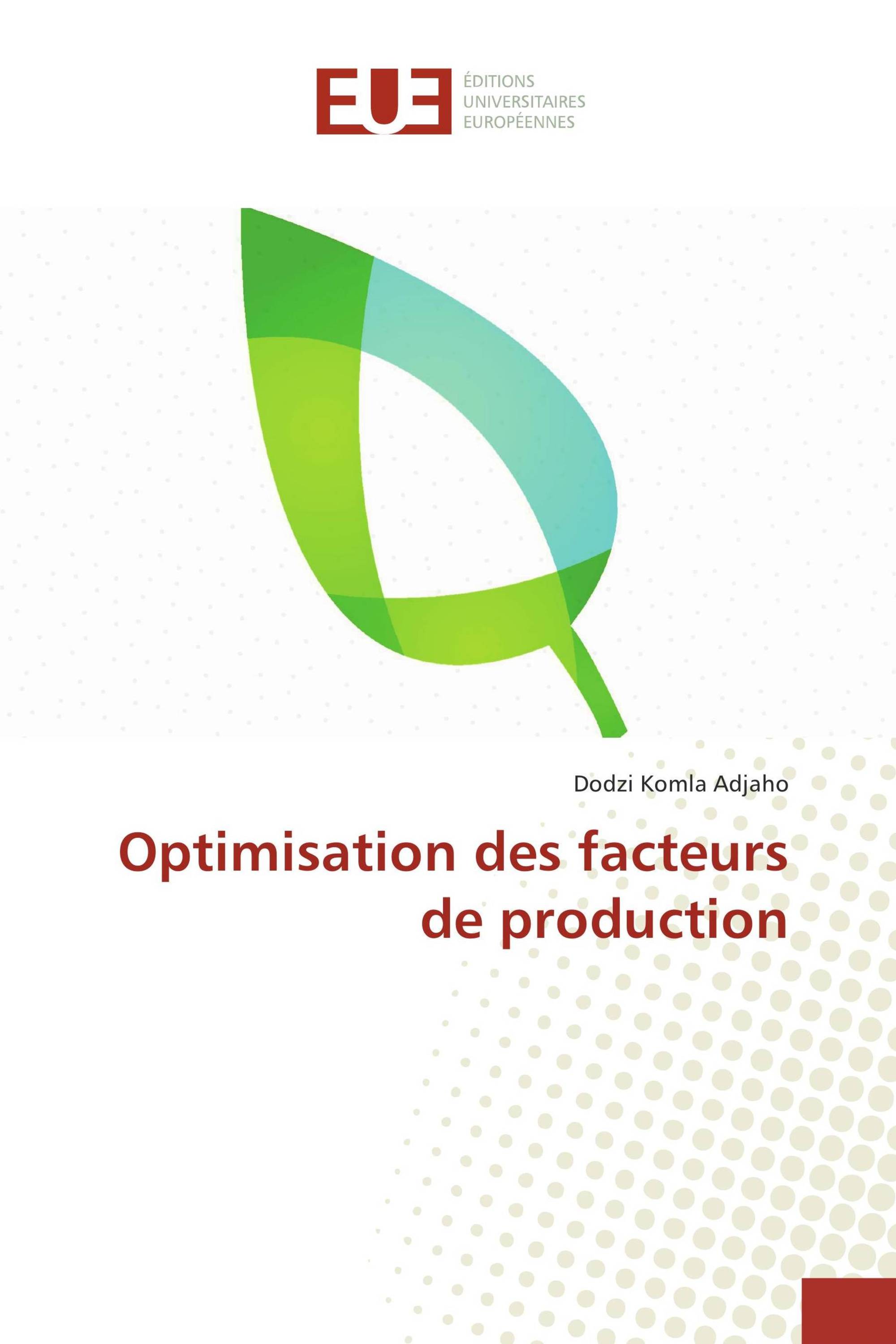 Optimisation des facteurs de production