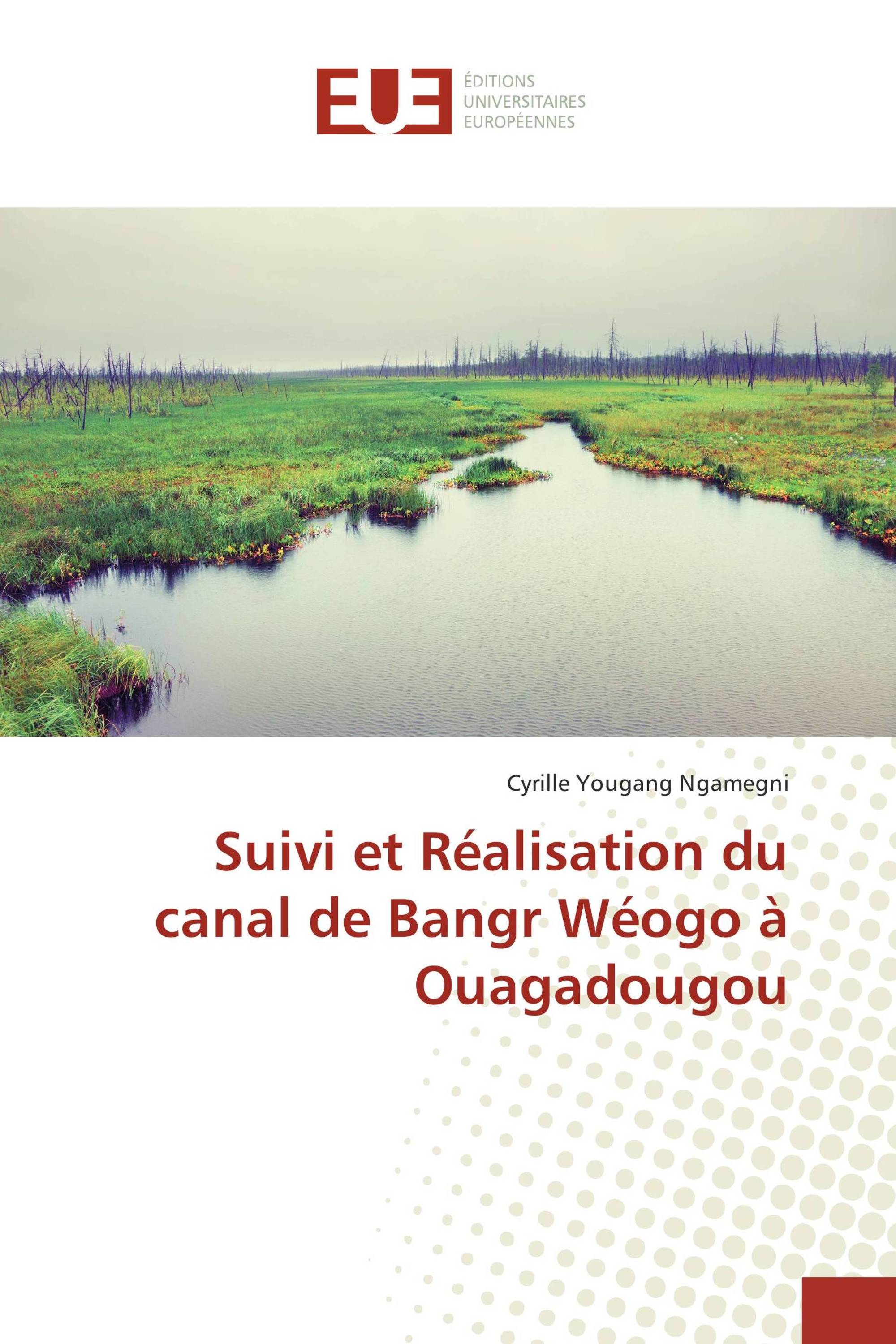 Suivi et Réalisation du canal de Bangr Wéogo à Ouagadougou