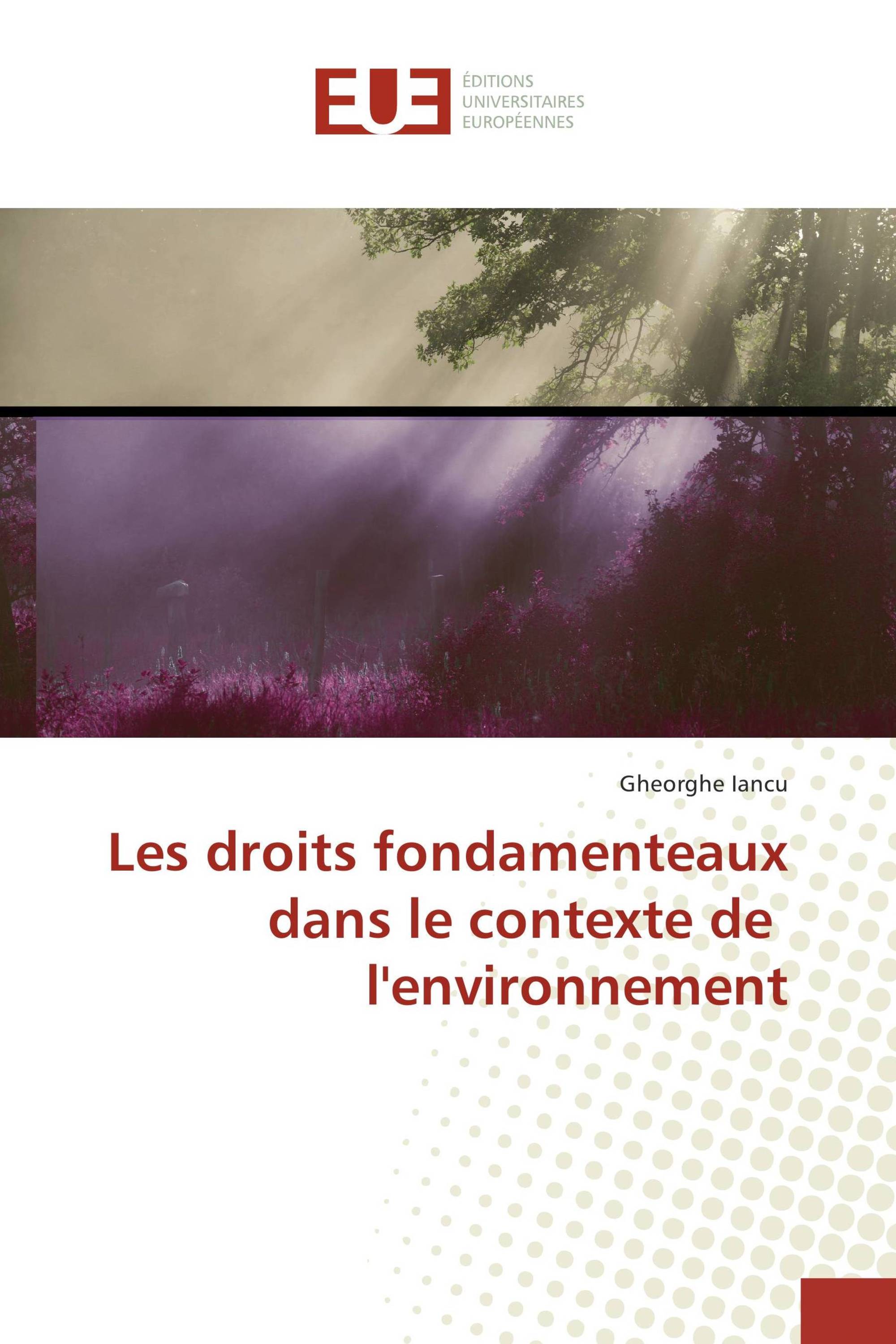 Les droits fondamenteaux dans le contexte de l'environnement