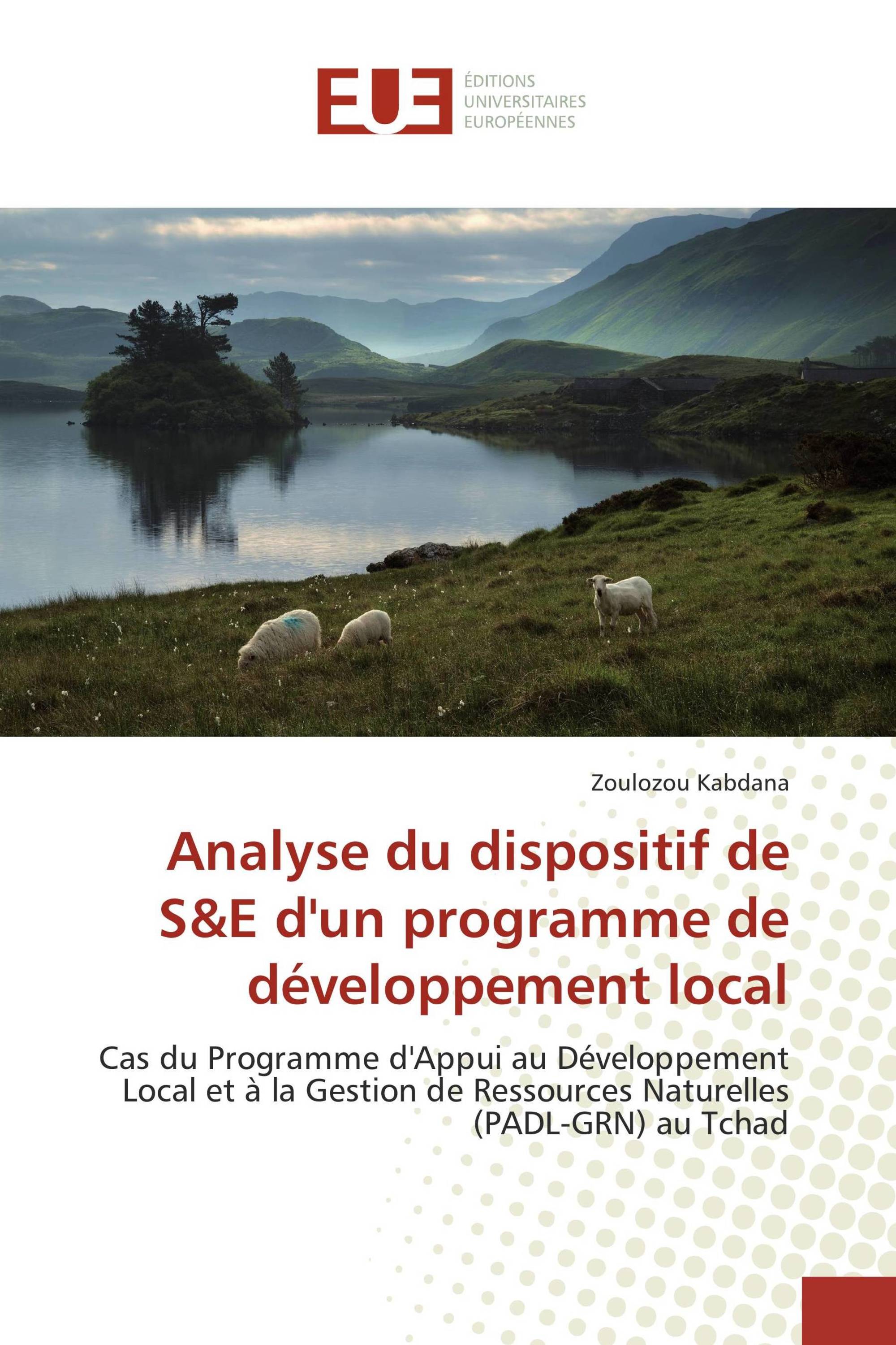 Analyse du dispositif de S&E d'un programme de développement local