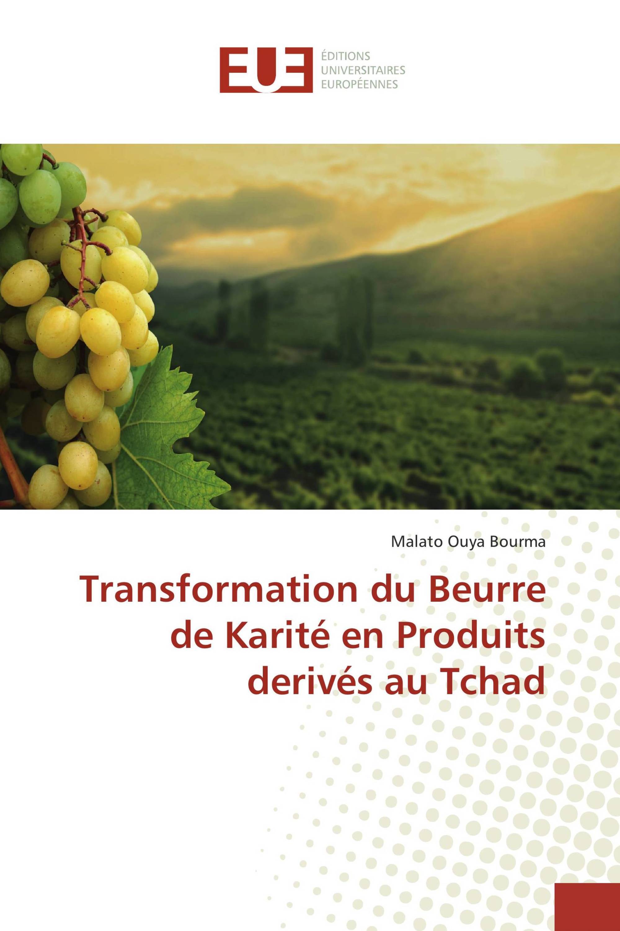 Transformation du Beurre de Karité en Produits derivés au Tchad