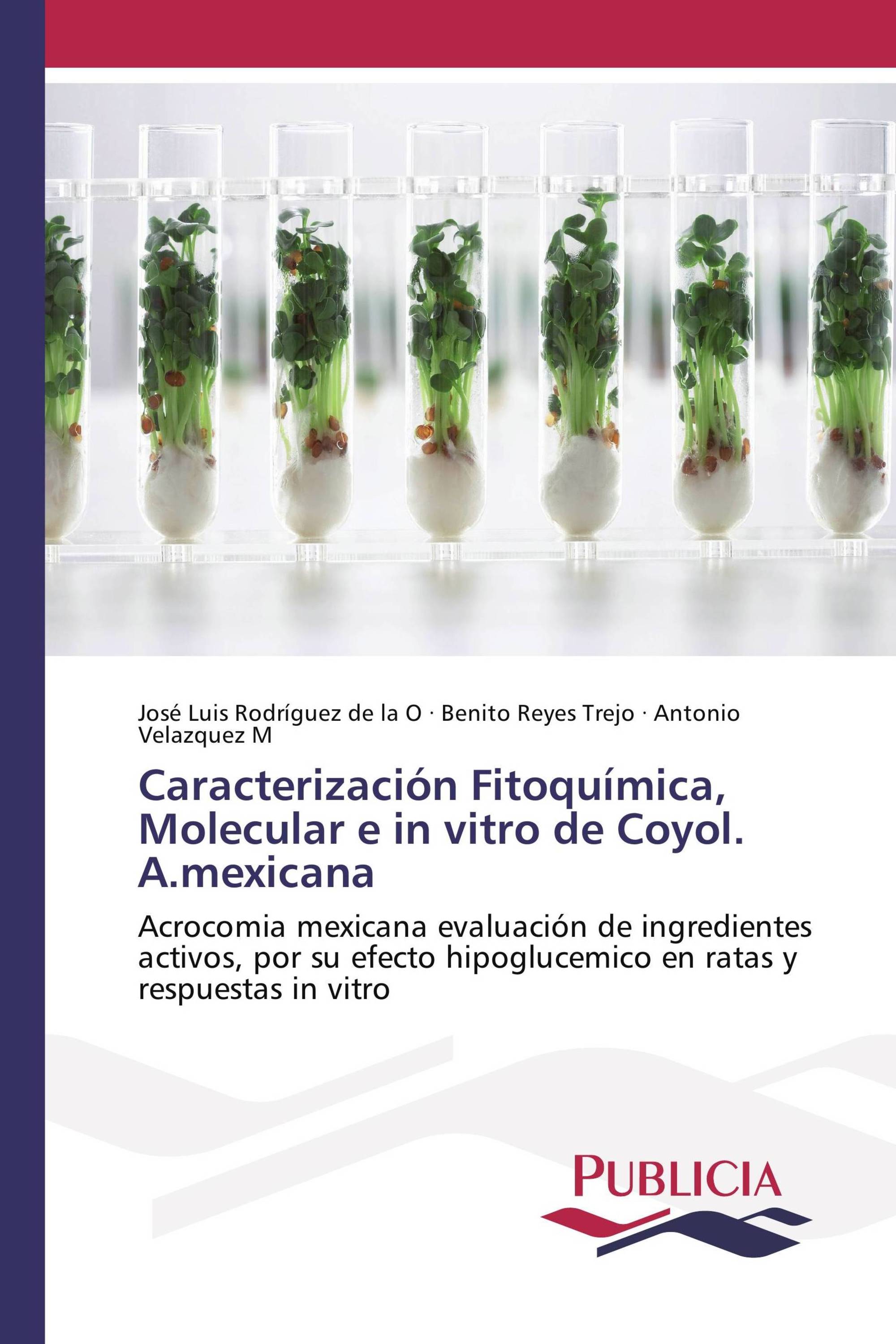 Caracterización Fitoquímica, Molecular e in vitro de Coyol. A.mexicana