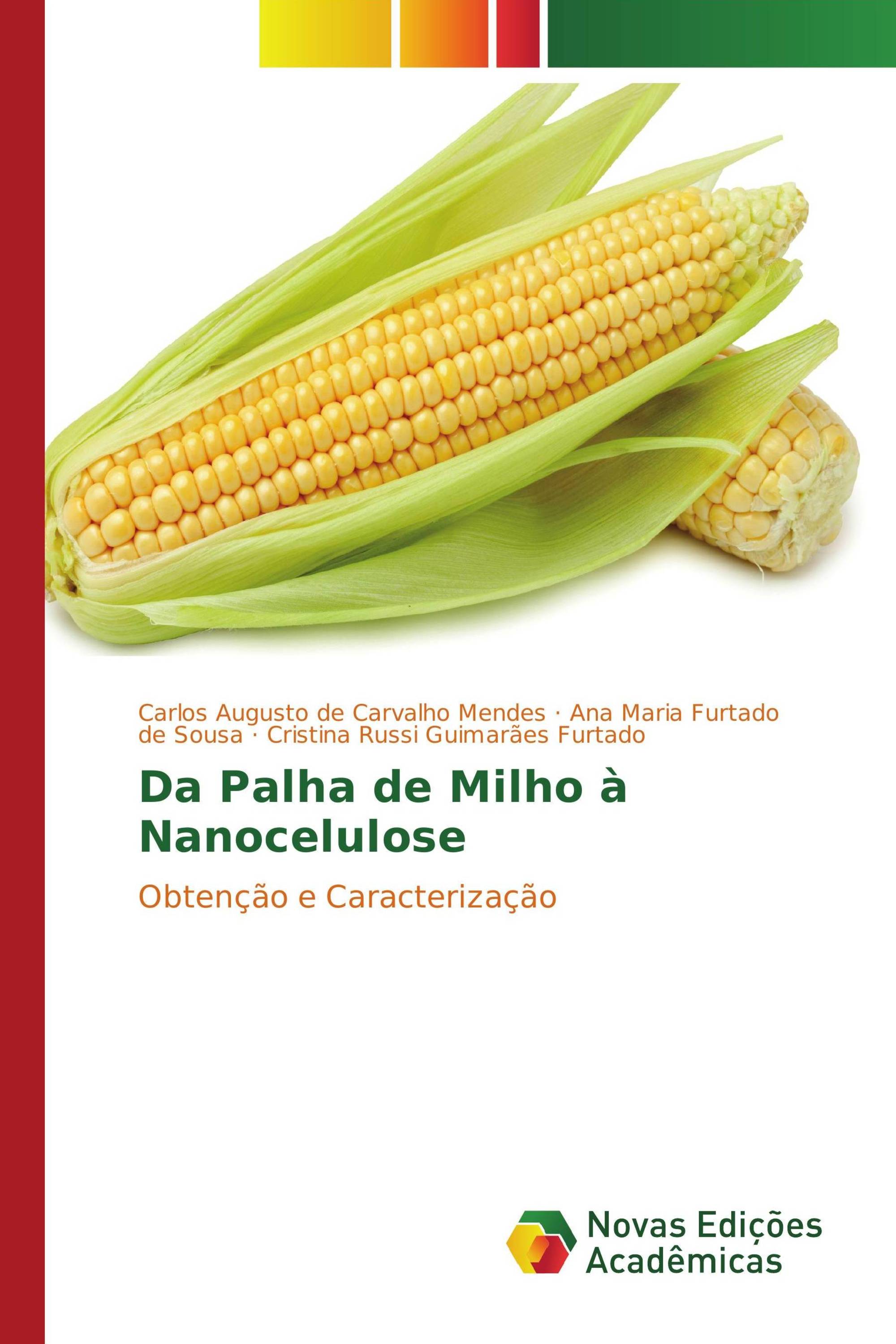 Da Palha de Milho à Nanocelulose