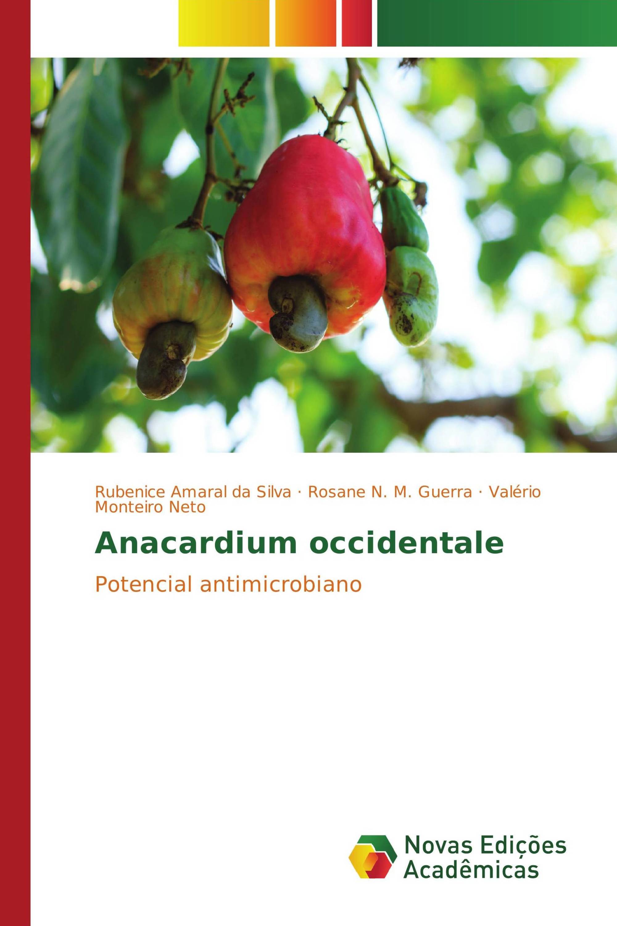 Anacardium occidentale