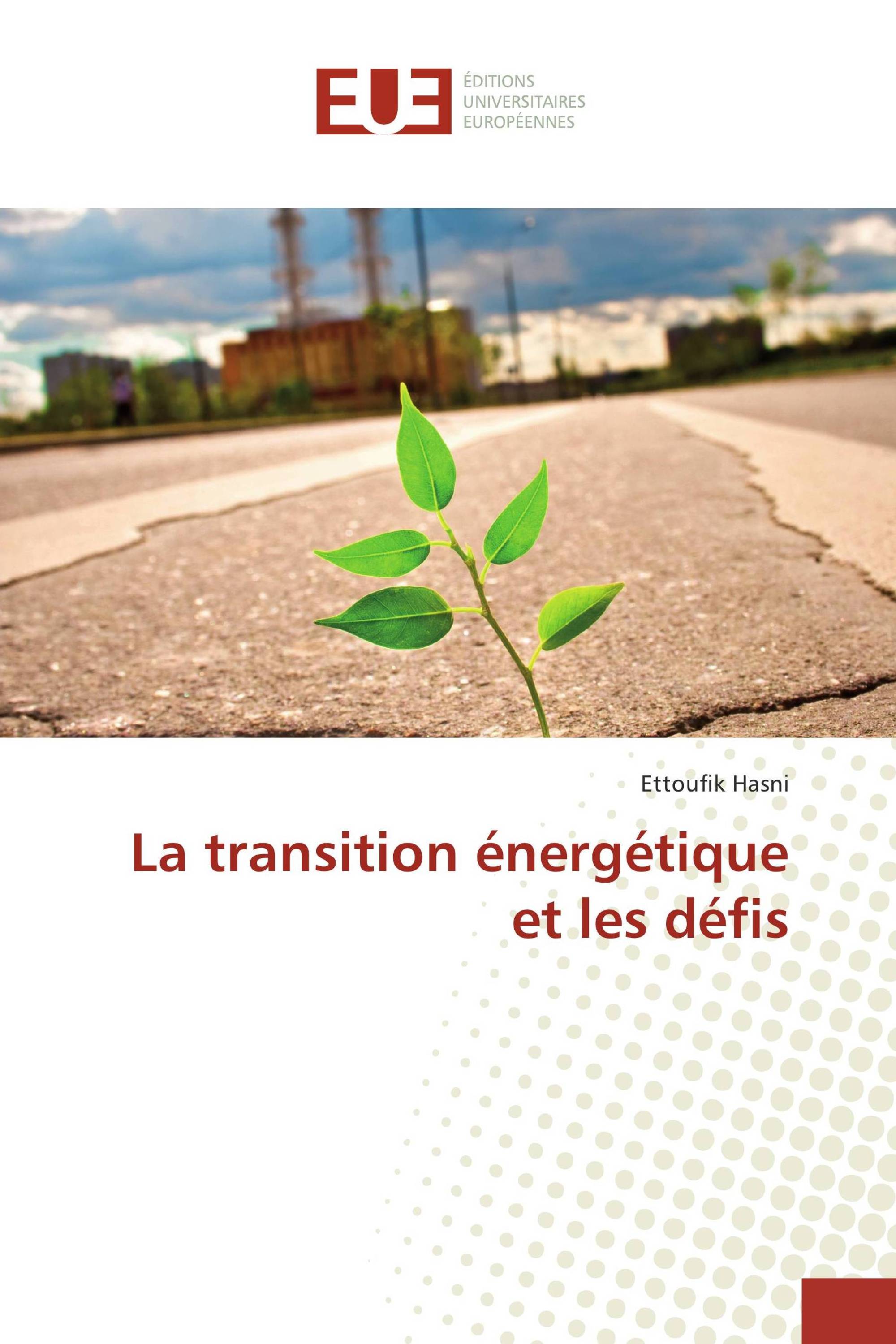 La transition énergétique et les défis