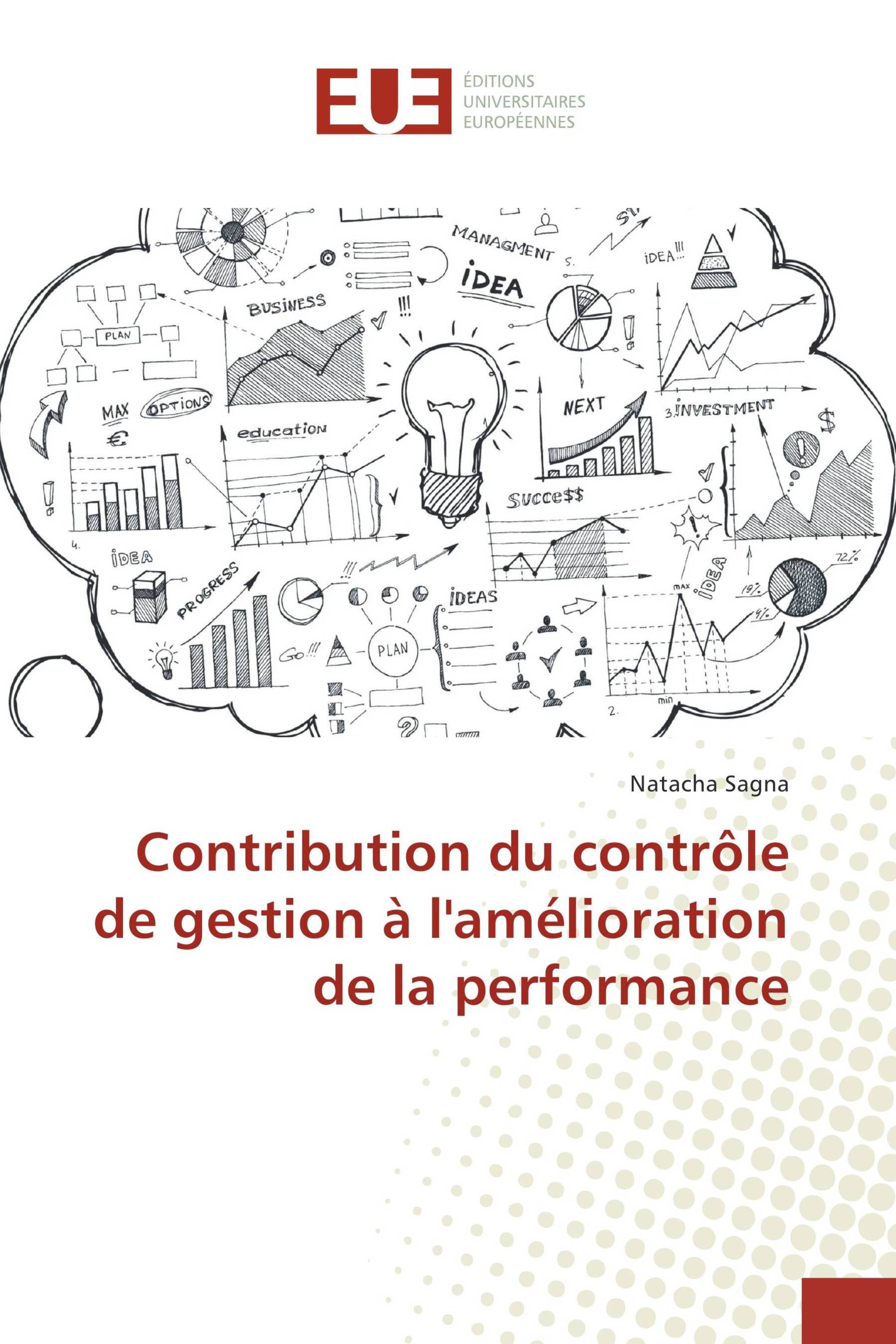 Contribution du contrôle de gestion à l'amélioration de la performance