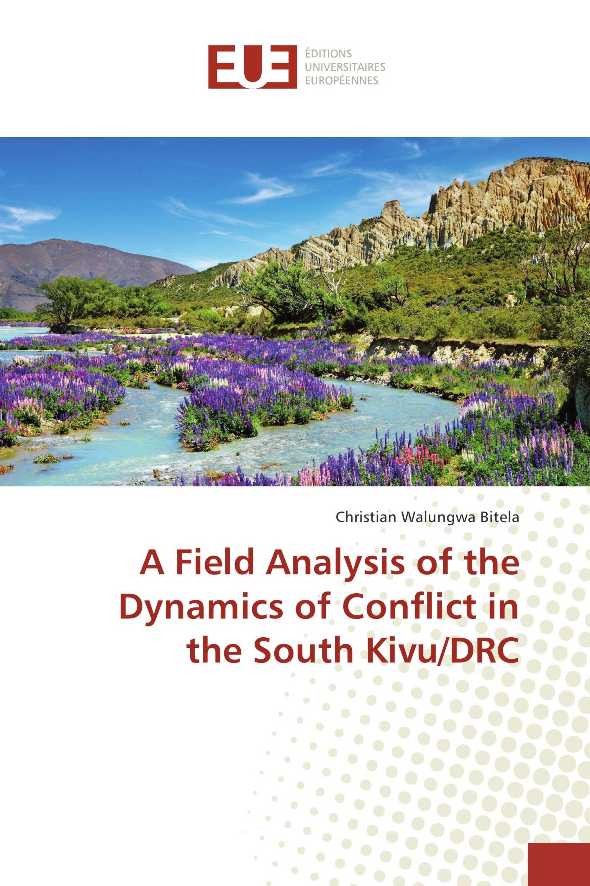 A Field Analysis of the Dynamics of Conflict in the South Kivu/DRC