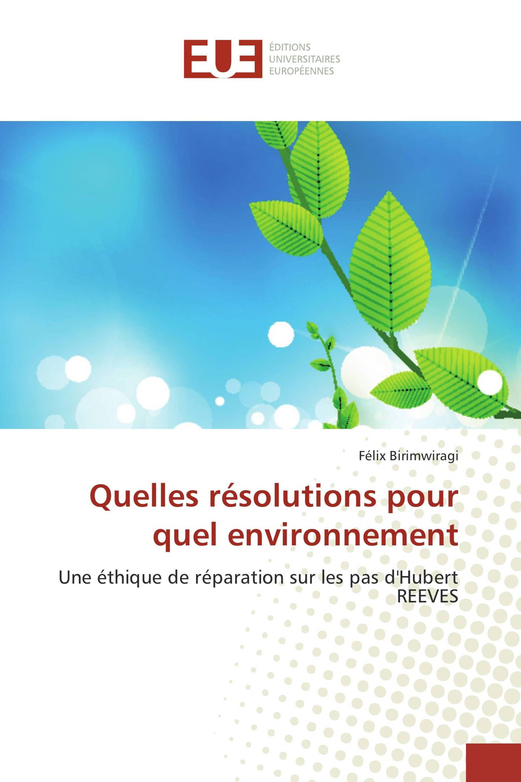 Quelles résolutions pour quel environnement