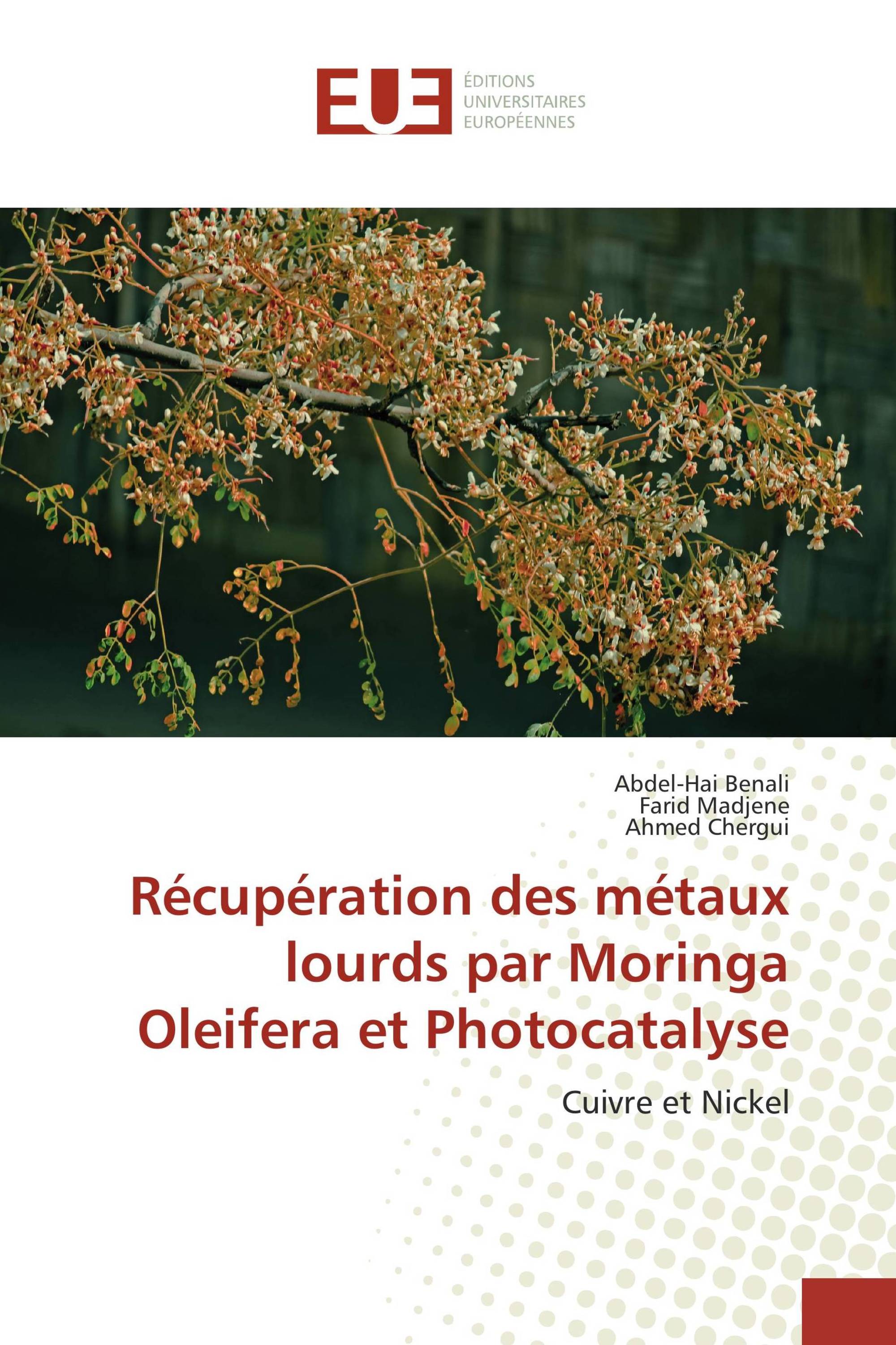 Récupération des métaux lourds par Moringa Oleifera et Photocatalyse