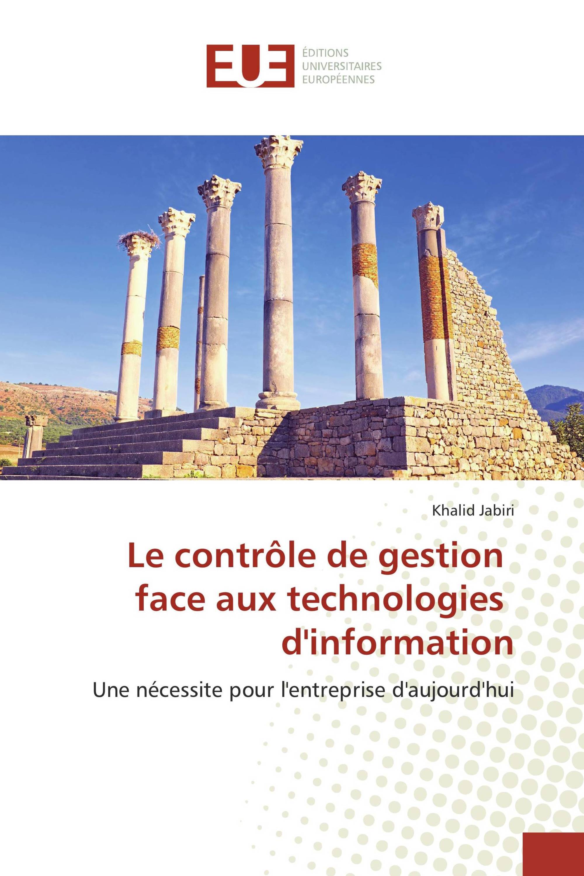 Le contrôle de gestion face aux technologies d'information