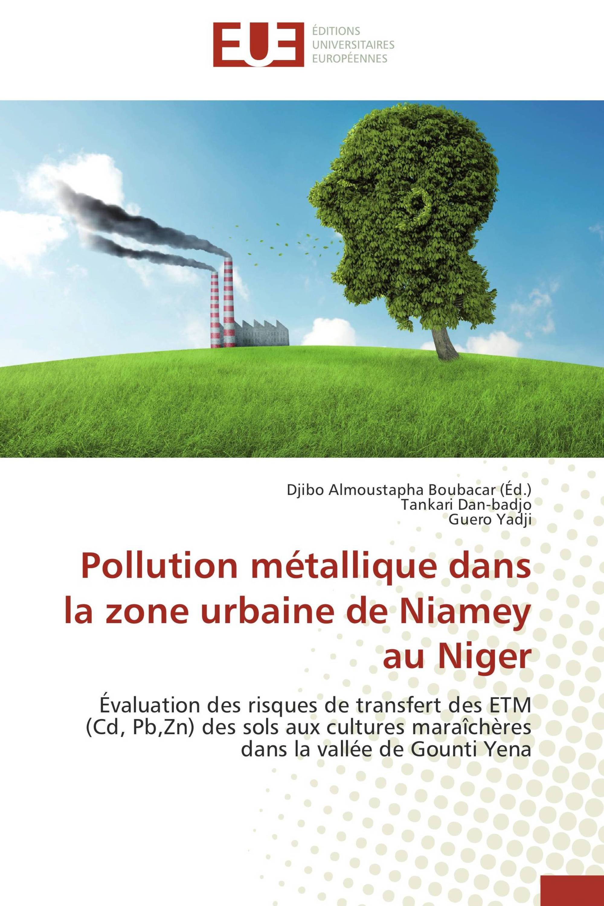 Pollution métallique dans la zone urbaine de Niamey au Niger