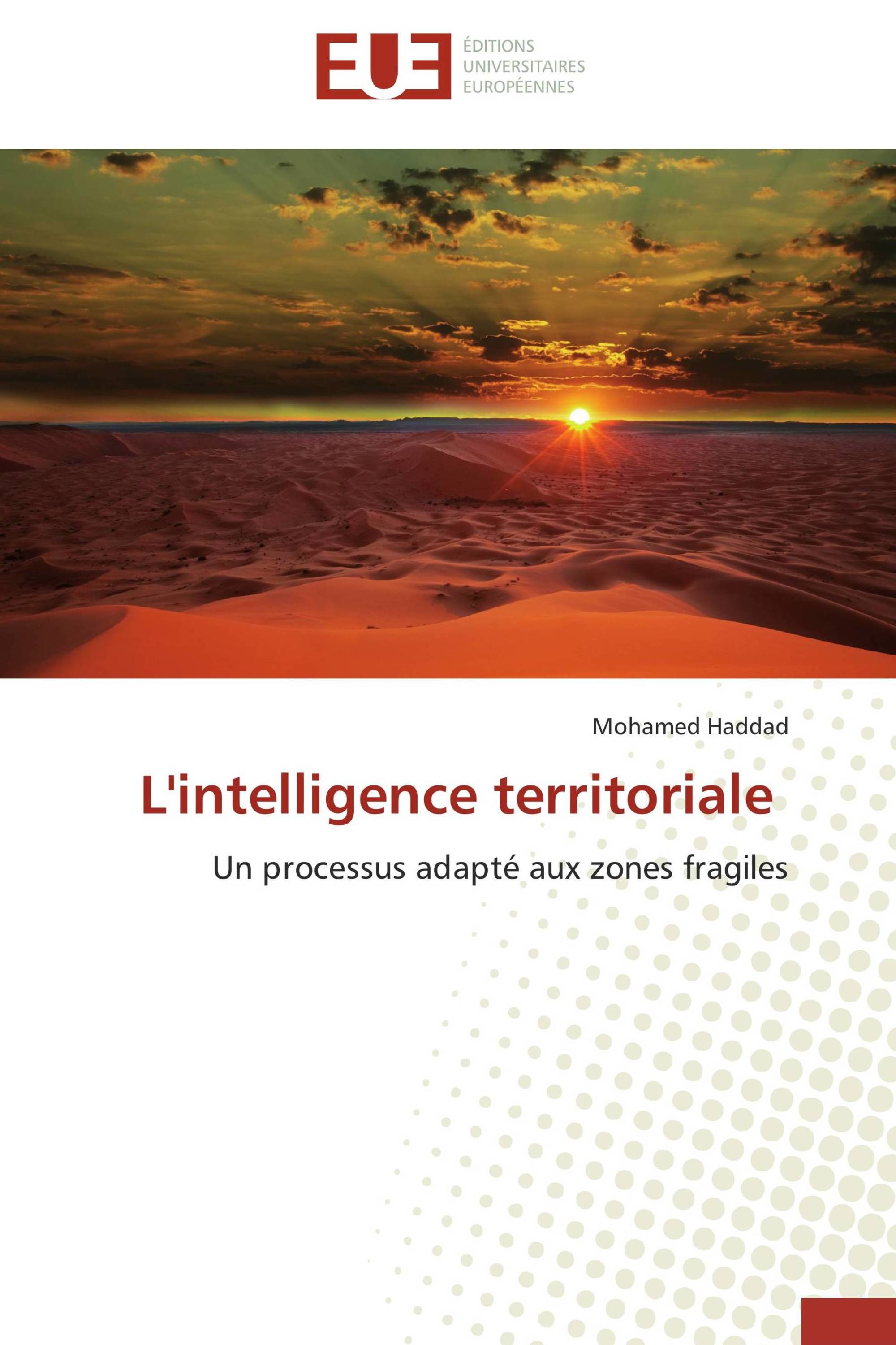 L'intelligence territoriale