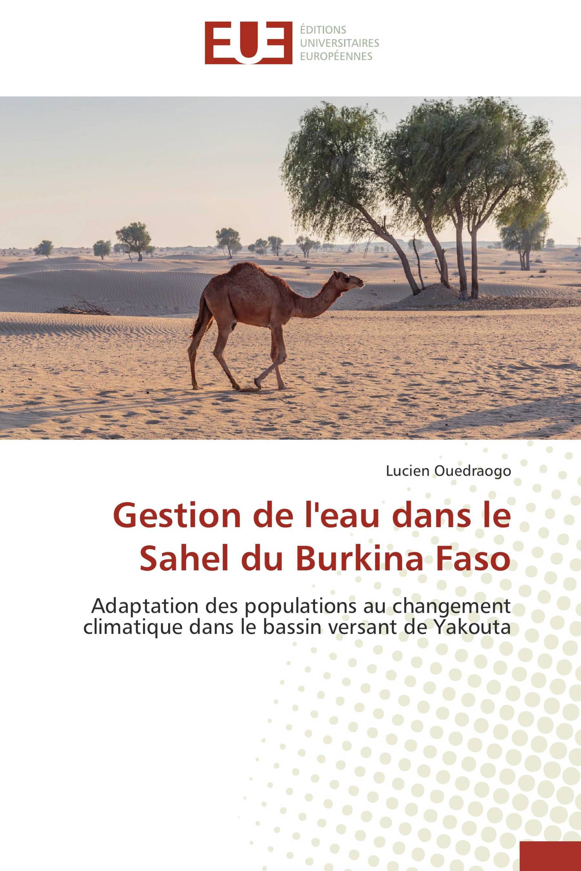 Gestion de l'eau dans le Sahel du Burkina Faso