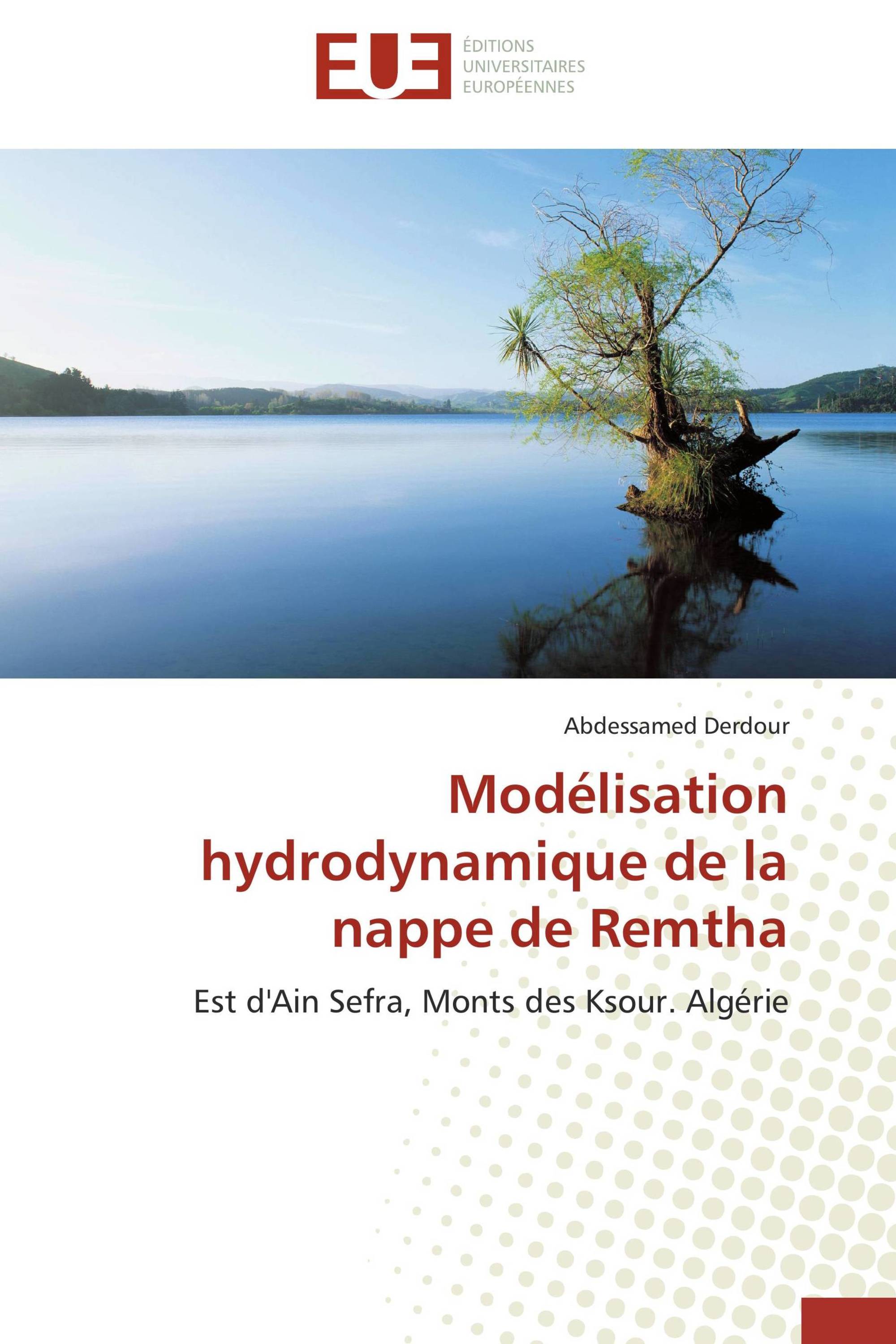 Modélisation hydrodynamique de la nappe de Remtha