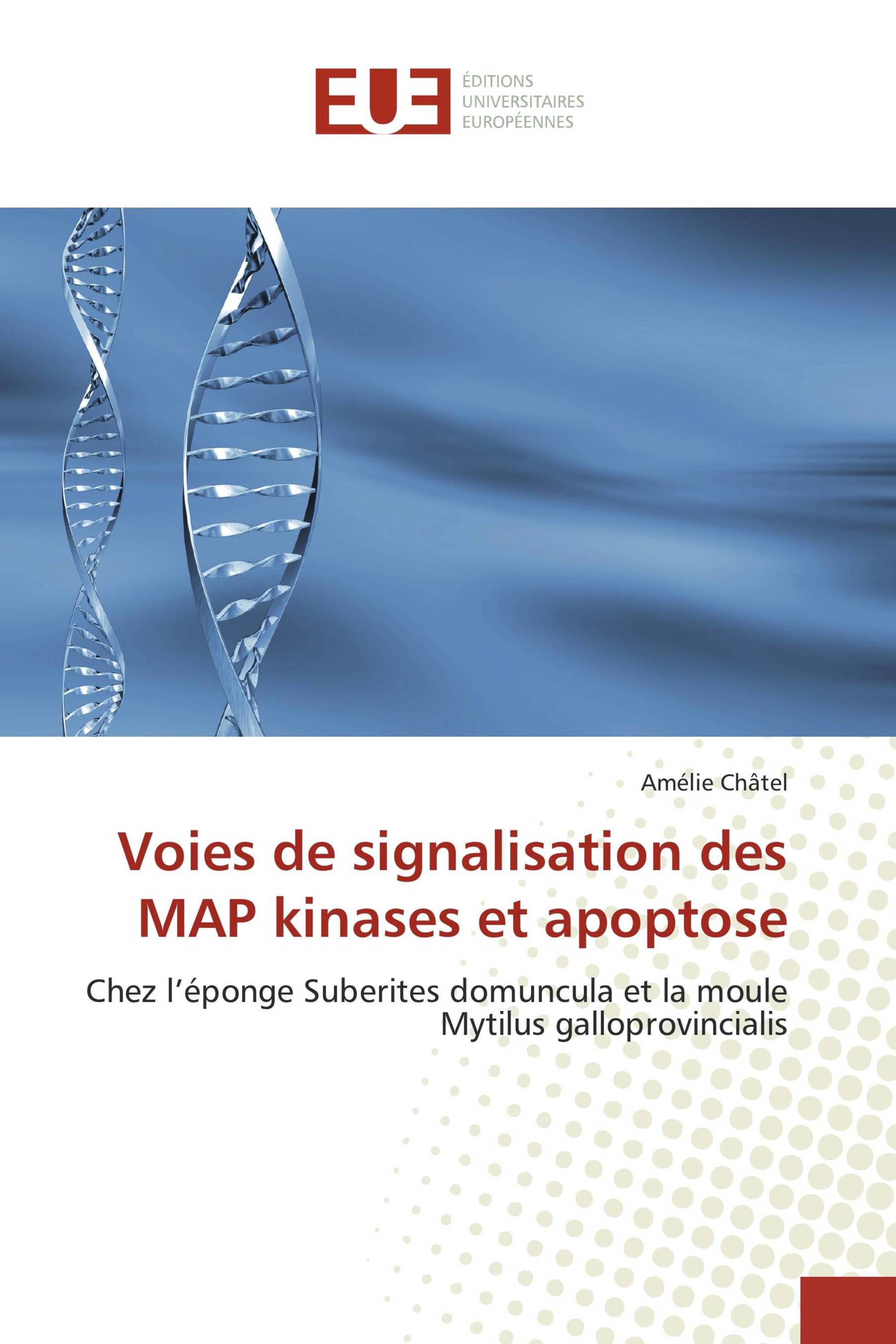 Voies de signalisation des MAP kinases et apoptose