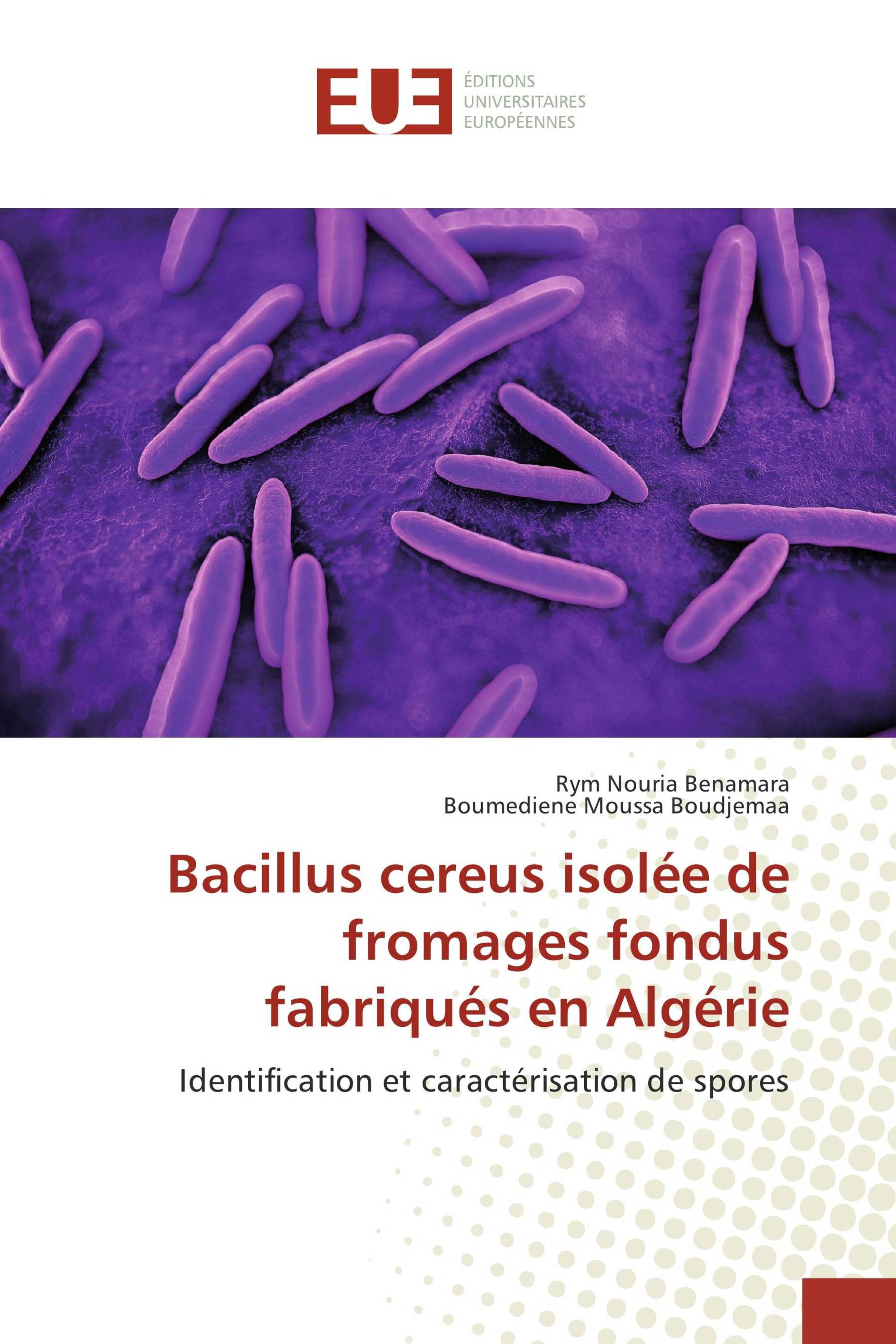 Bacillus cereus isolée de fromages fondus fabriqués en Algérie