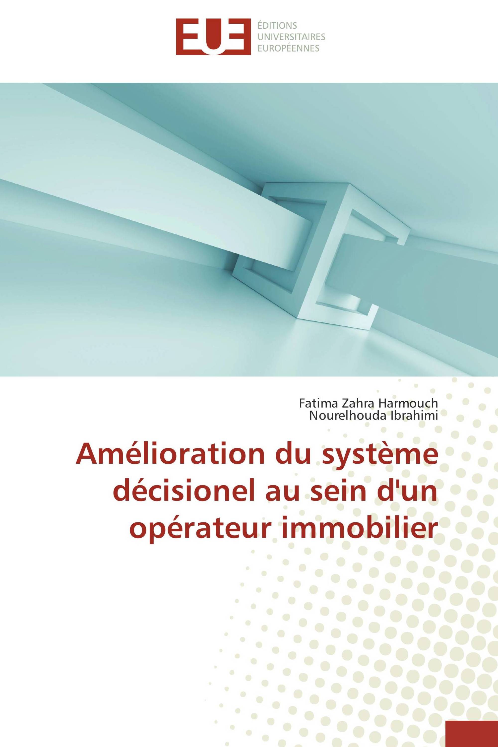 Amélioration du système décisionel au sein d'un opérateur immobilier