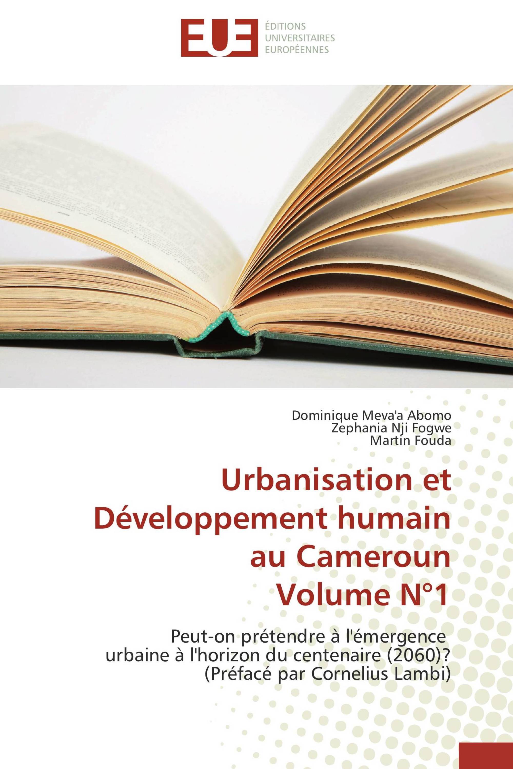 Urbanisation et Développement humain au Cameroun Volume N°1