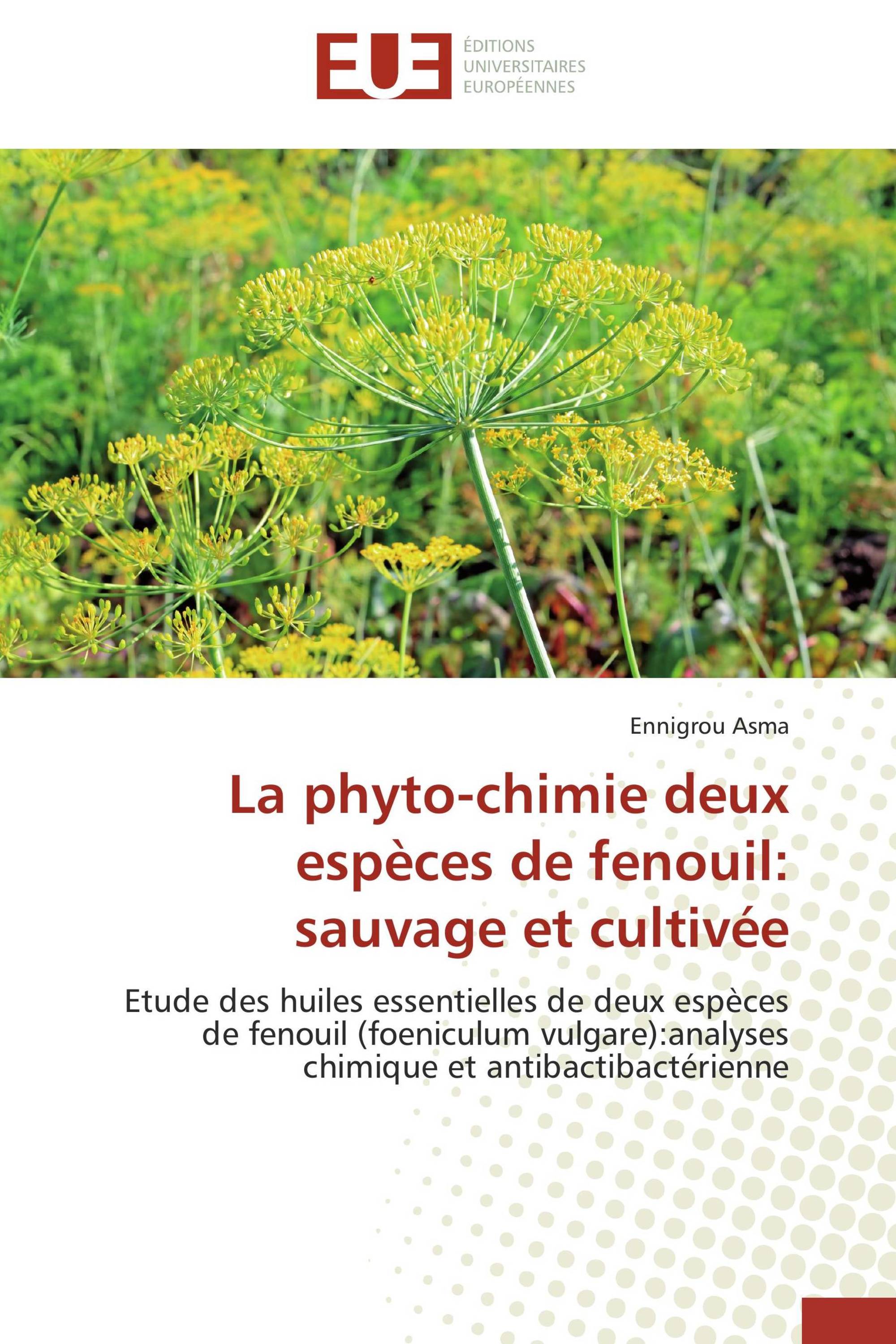 La phyto-chimie deux espèces de fenouil: sauvage et cultivée