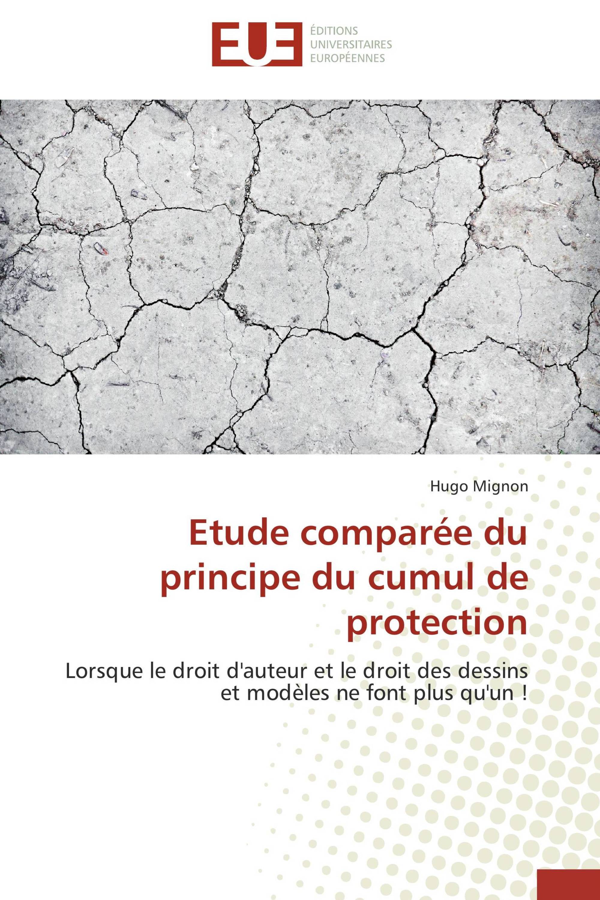 Etude comparée du principe du cumul de protection