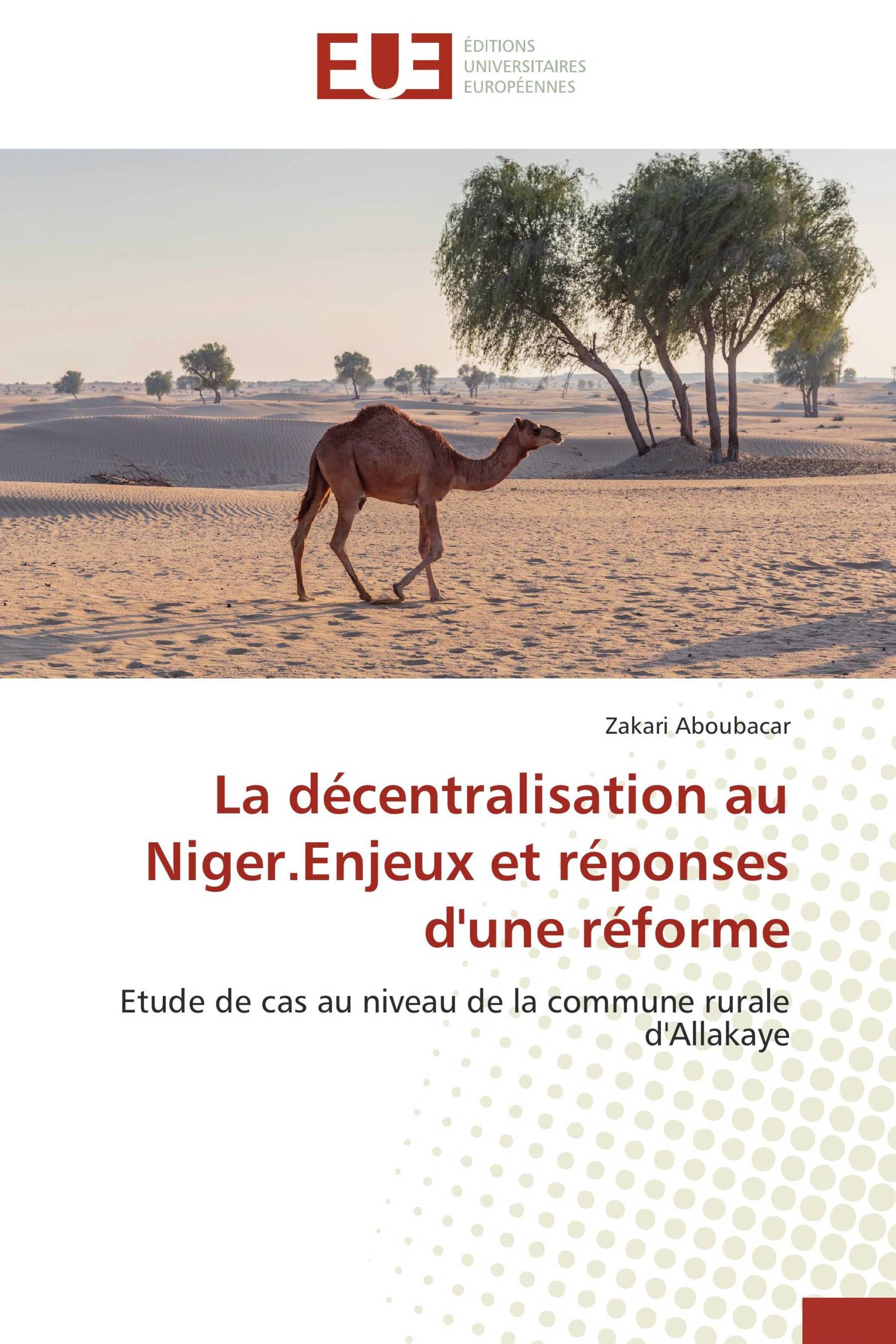 La décentralisation au Niger.Enjeux et réponses d'une réforme