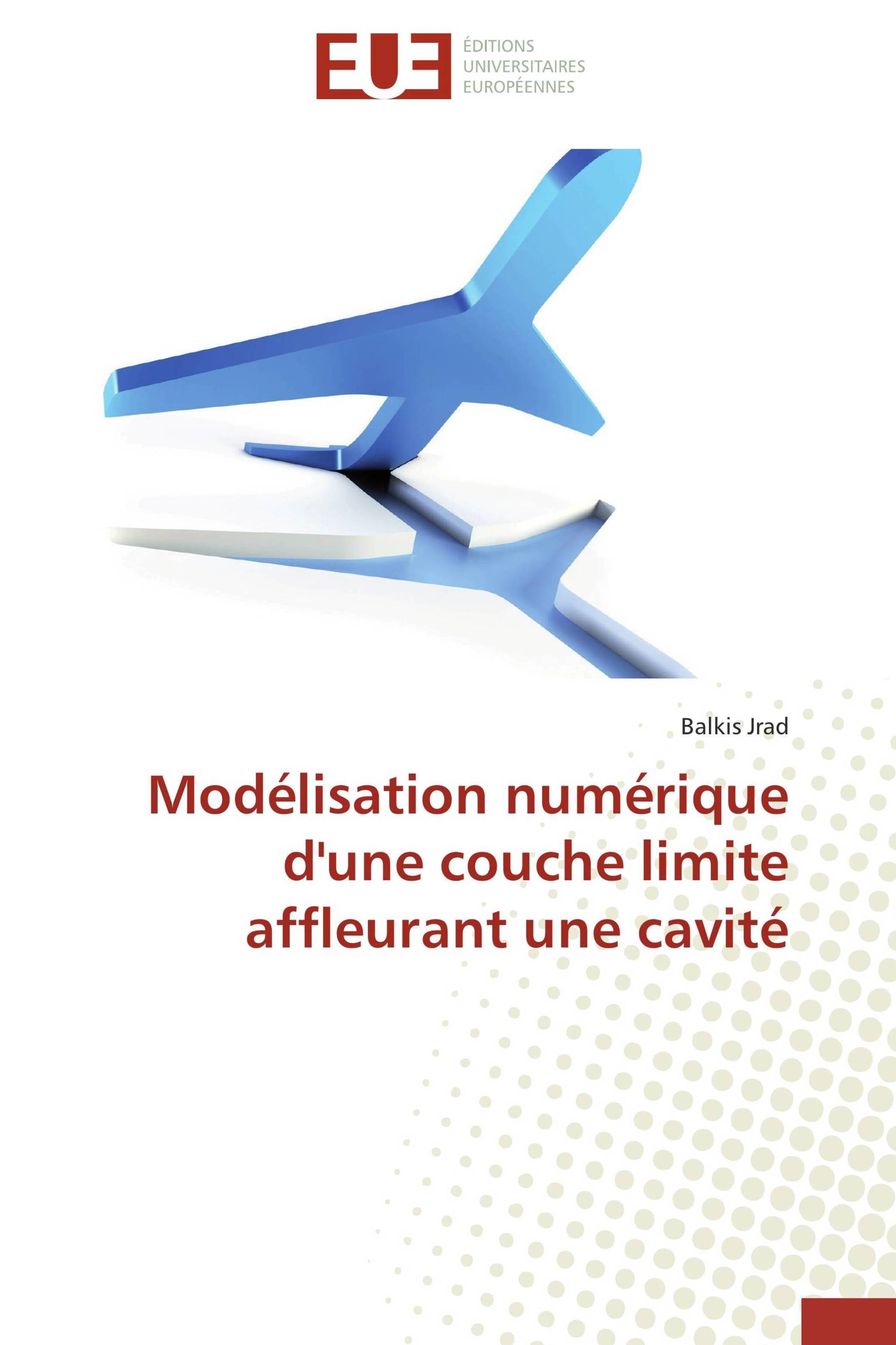 Modélisation numérique d'une couche limite affleurant une cavité