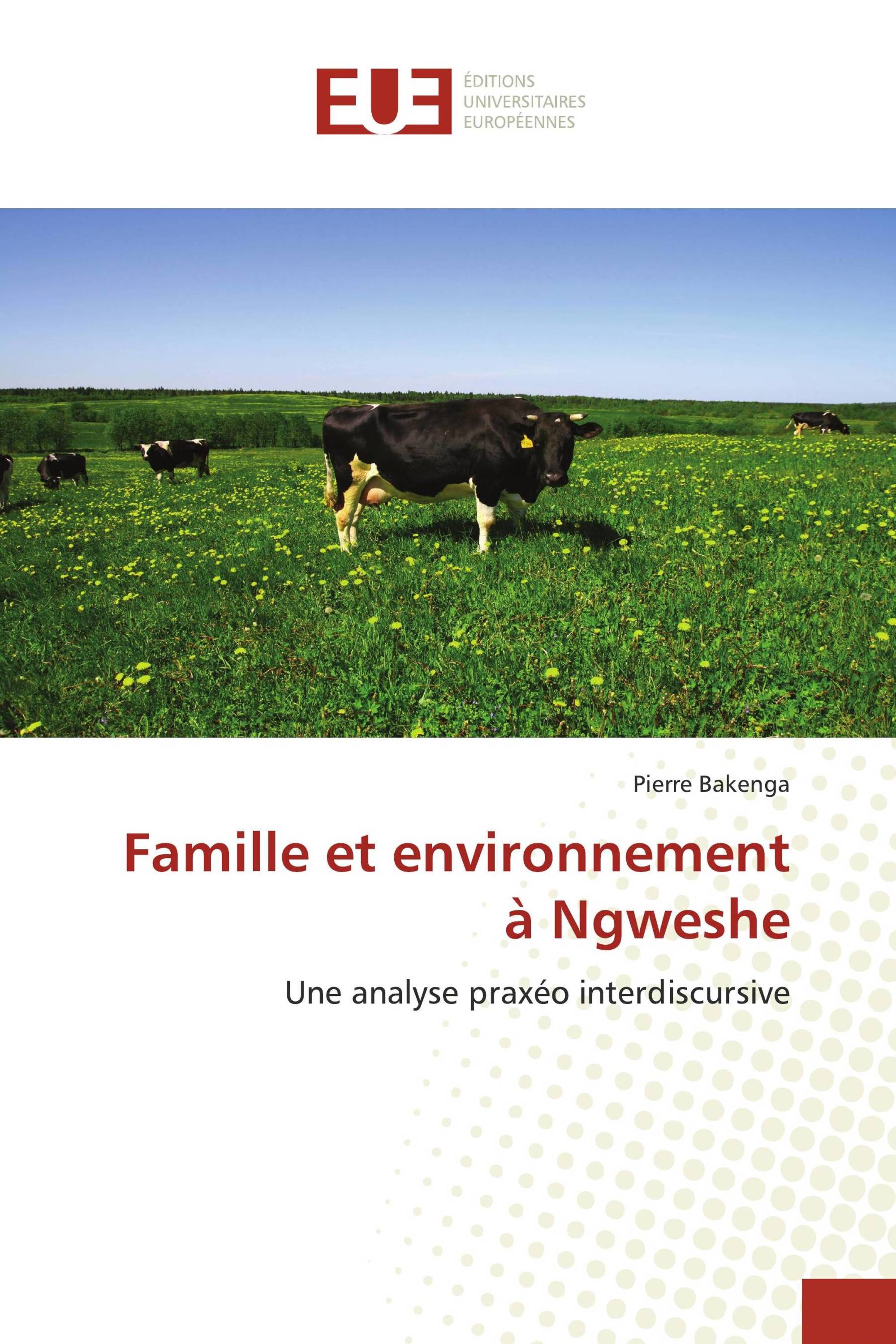 Famille et environnement à Ngweshe