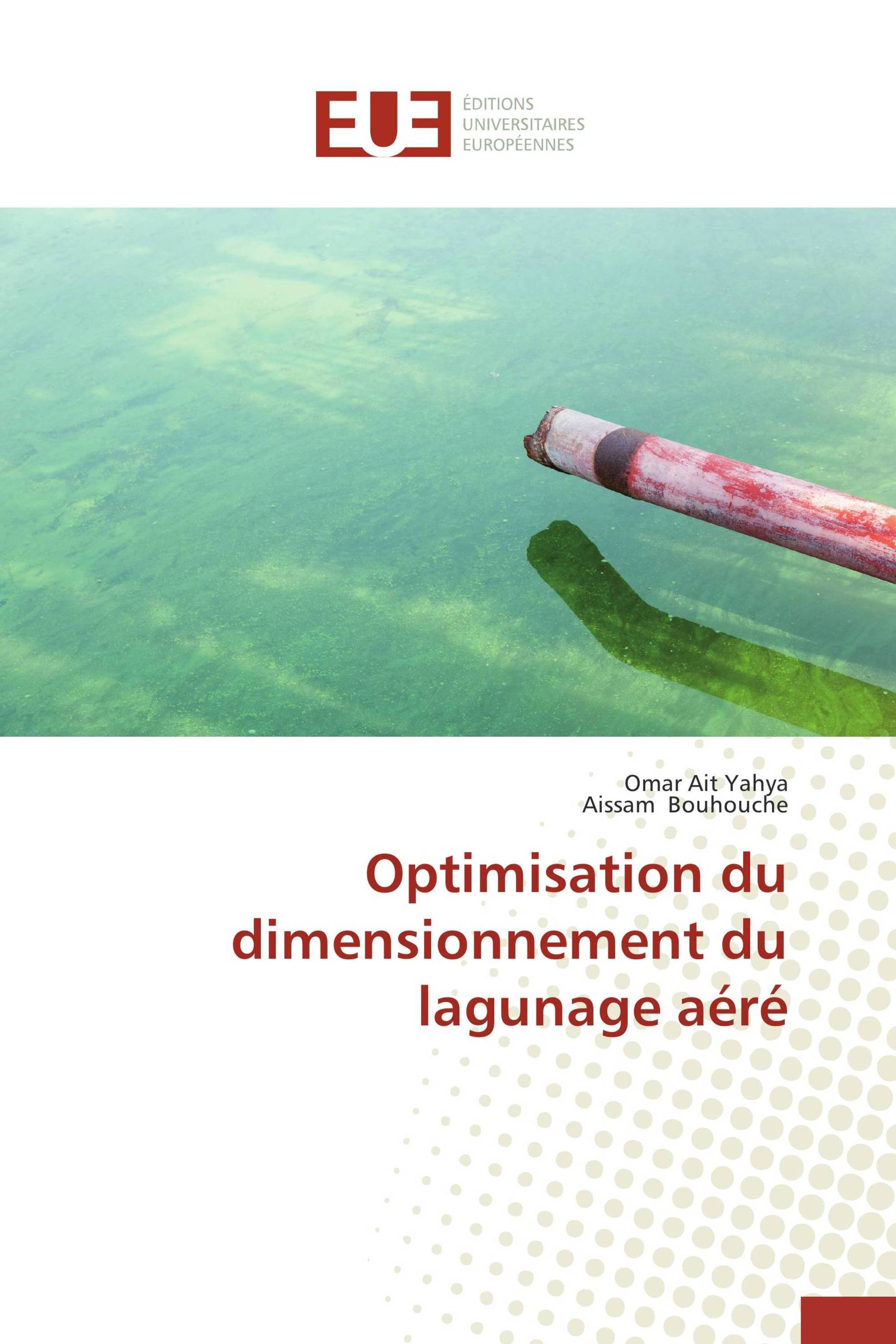 Optimisation du dimensionnement du lagunage aéré