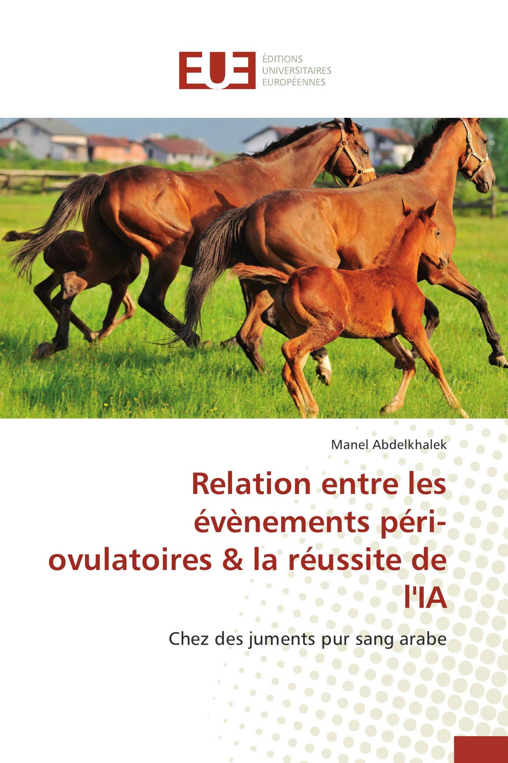 Relation entre les évènements péri-ovulatoires & la réussite de l'IA