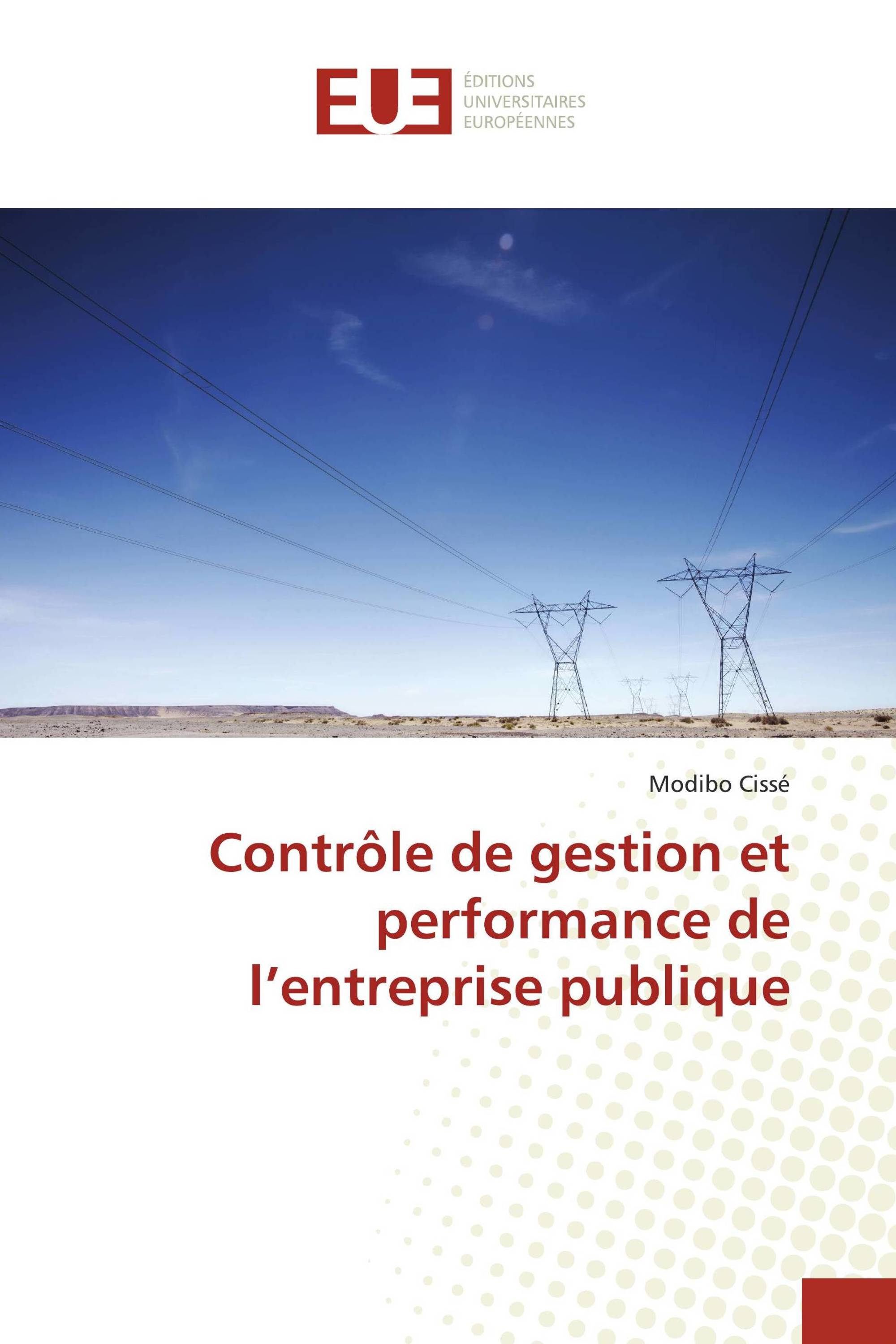 Contrôle de gestion et performance de l’entreprise publique