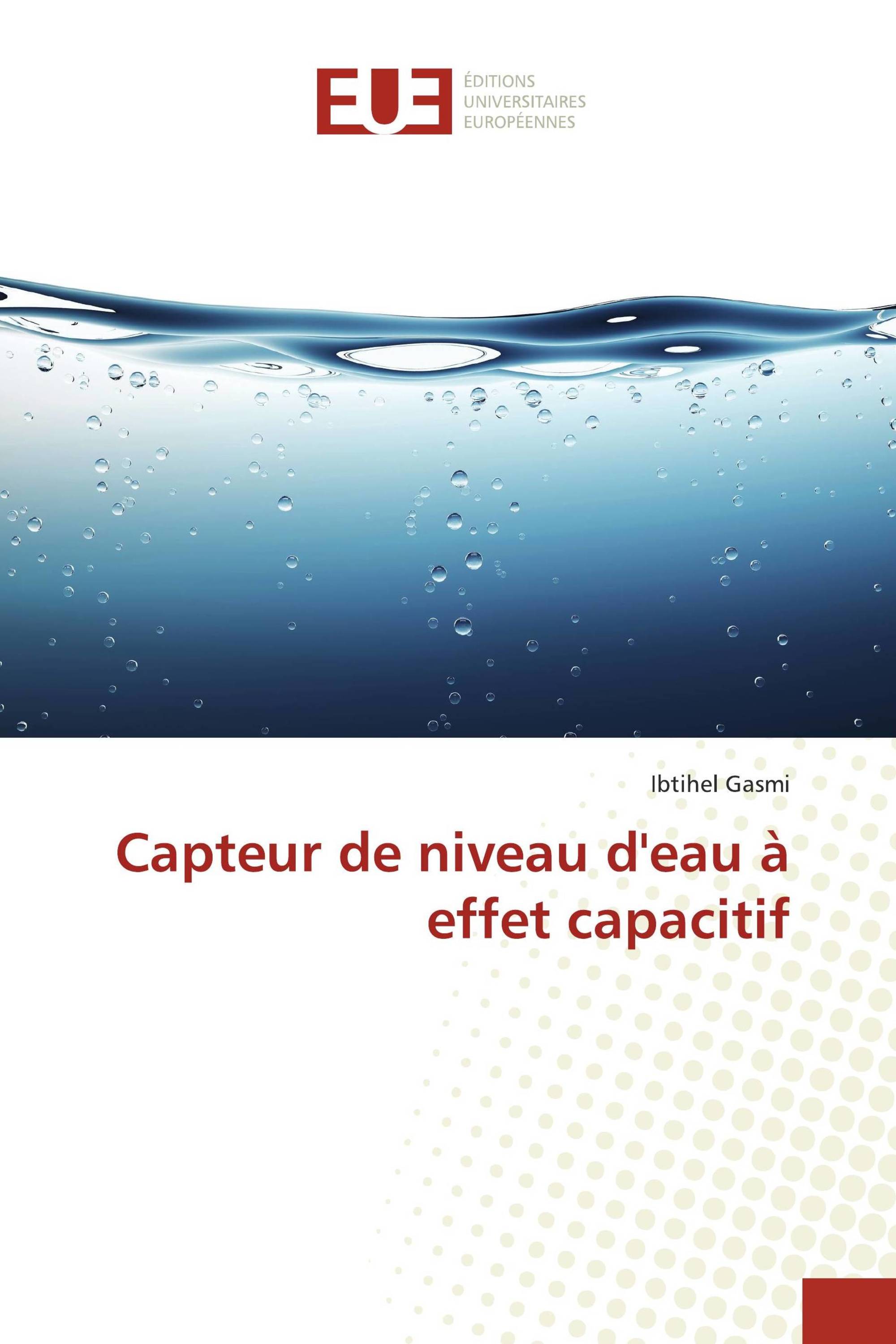 Capteur de niveau d'eau à effet capacitif