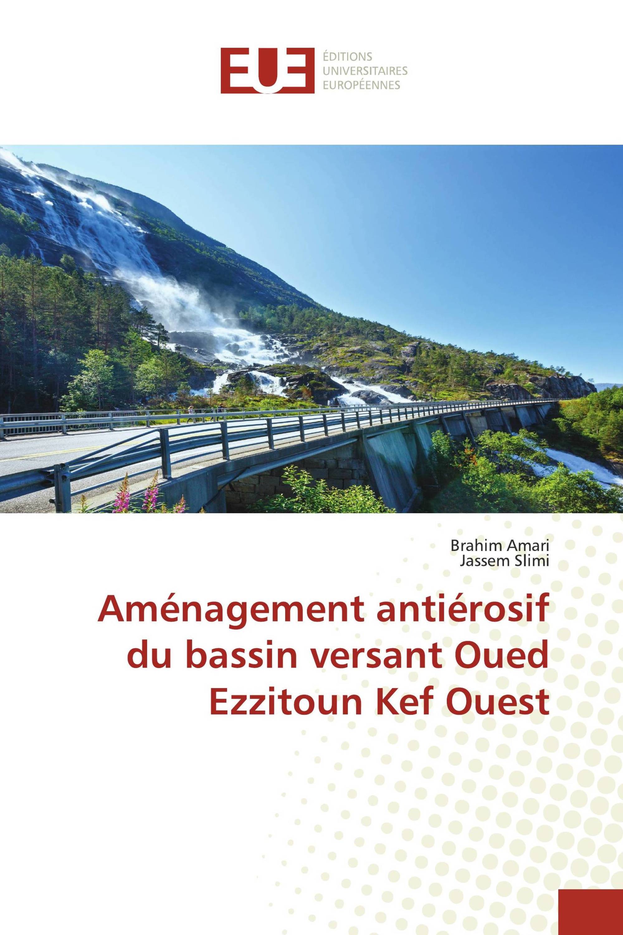 Aménagement antiérosif du bassin versant Oued Ezzitoun Kef Ouest