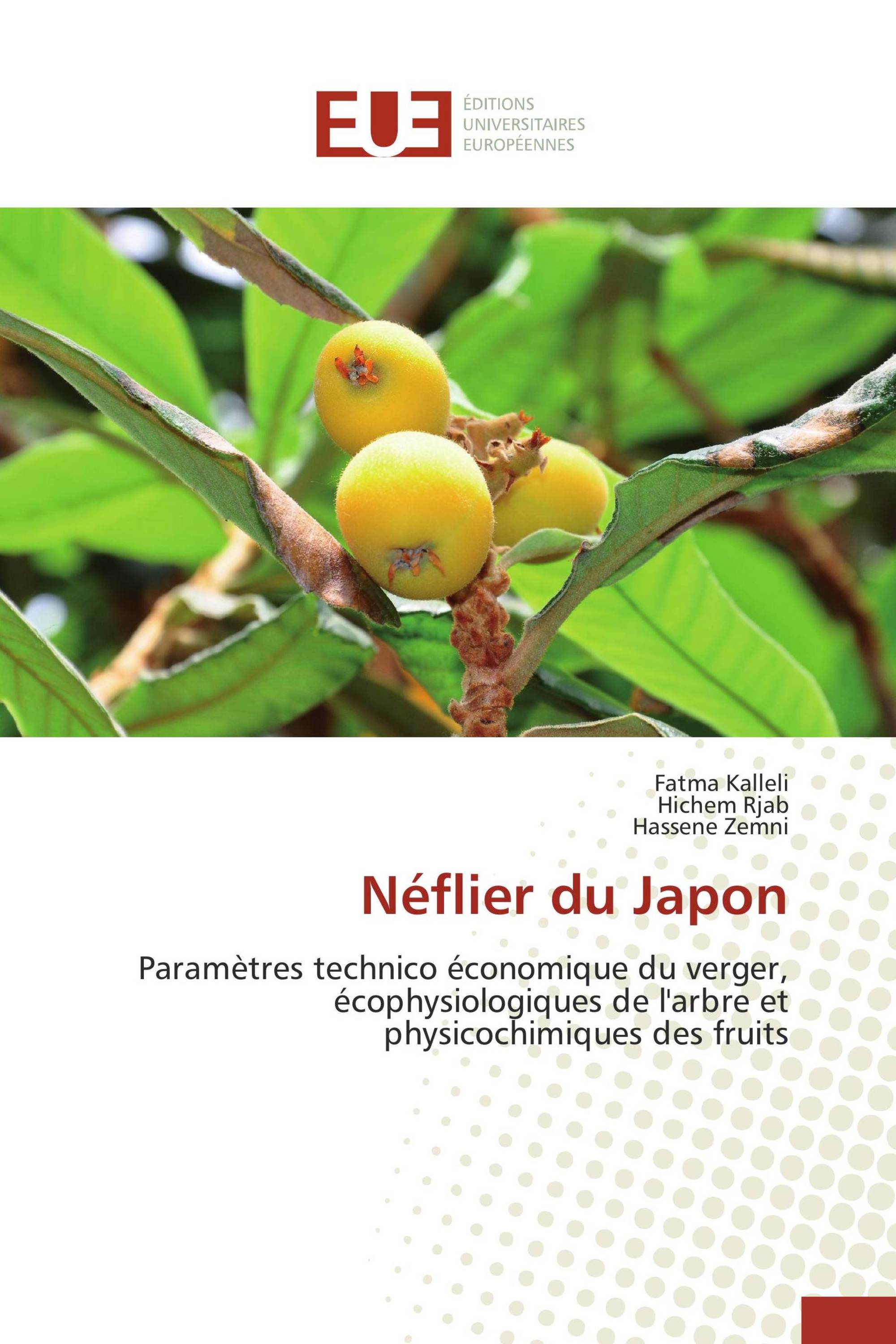 Néflier du Japon