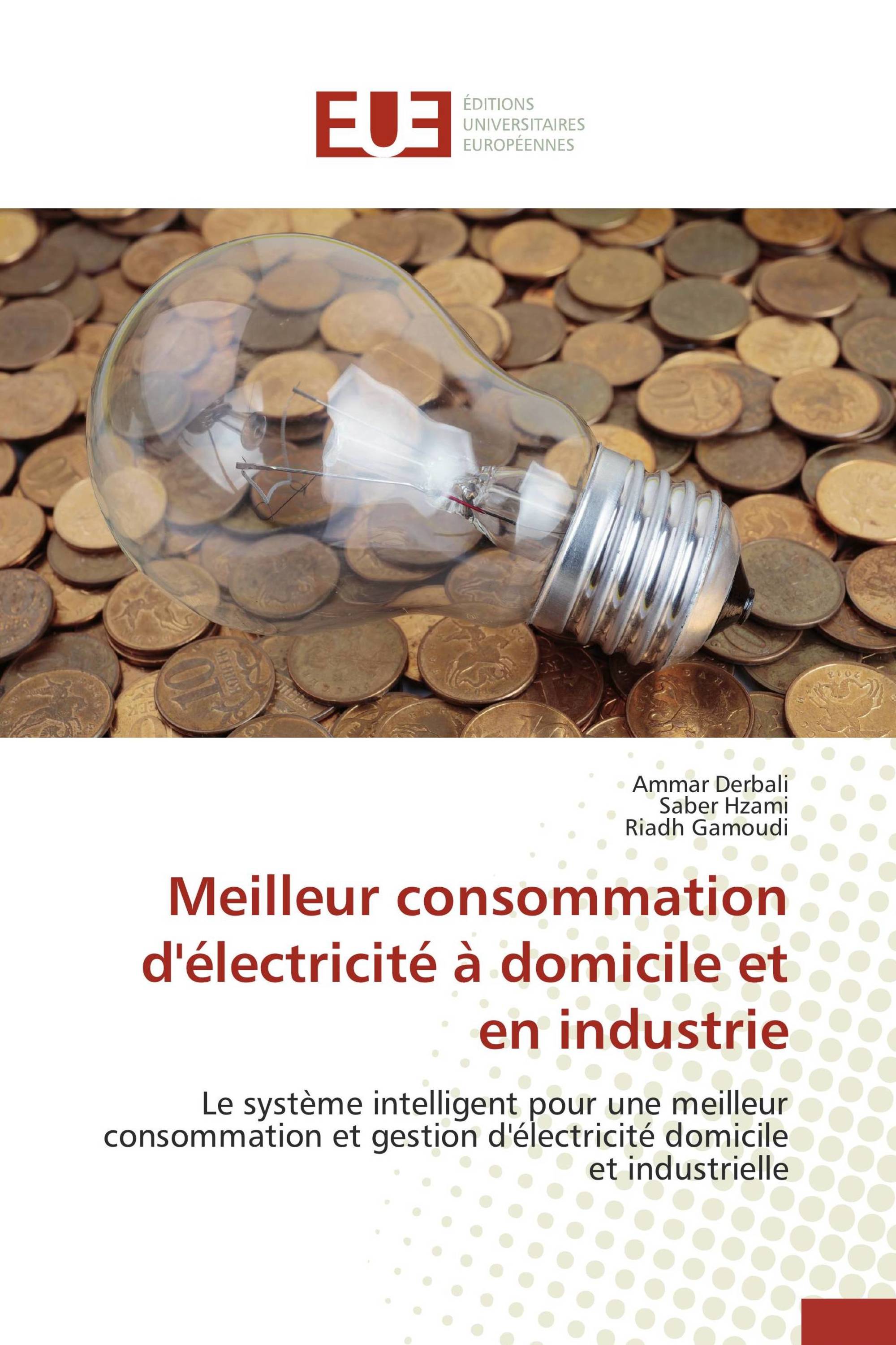 Meilleur consommation d'électricité à domicile et en industrie