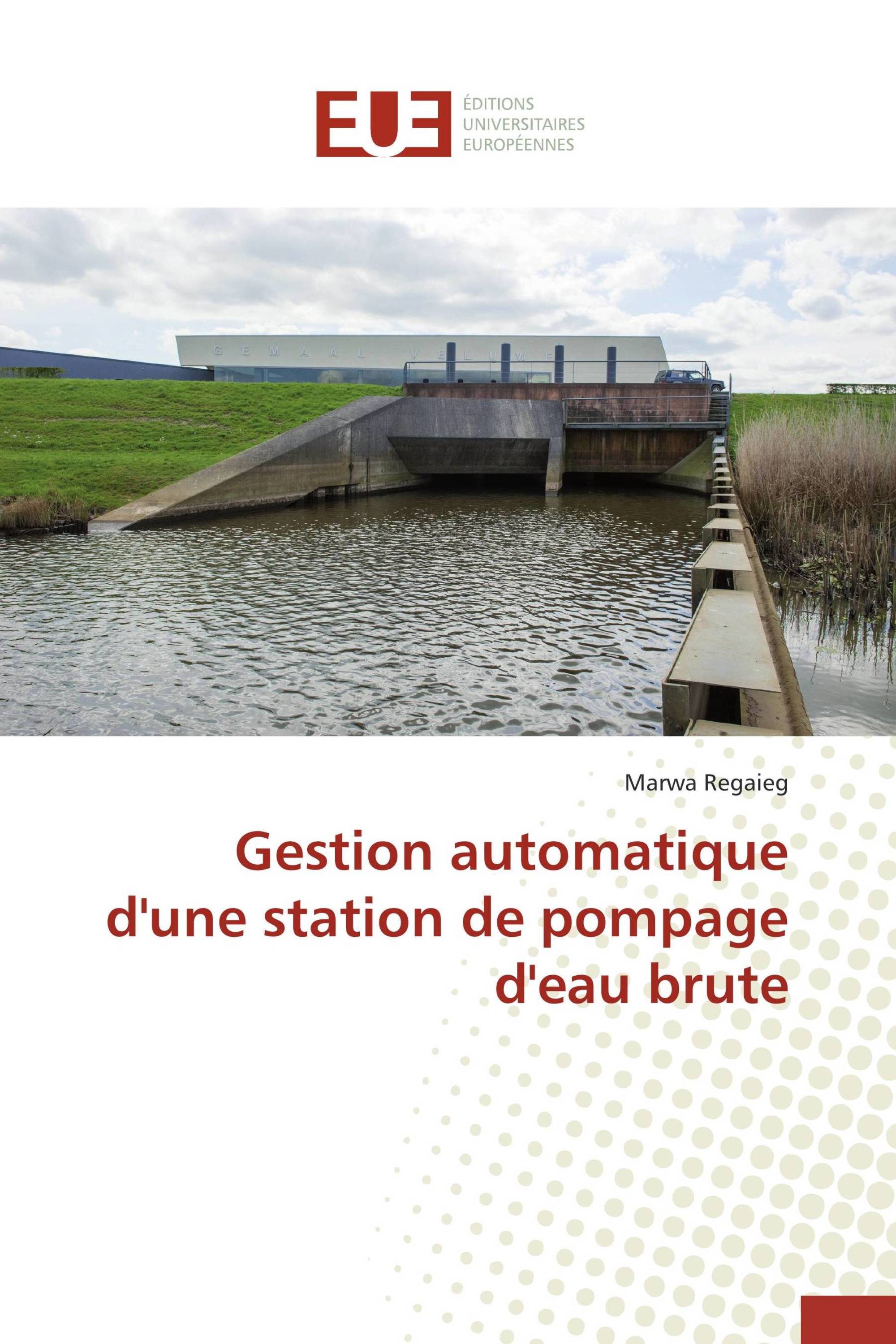 Gestion automatique d'une station de pompage d'eau brute