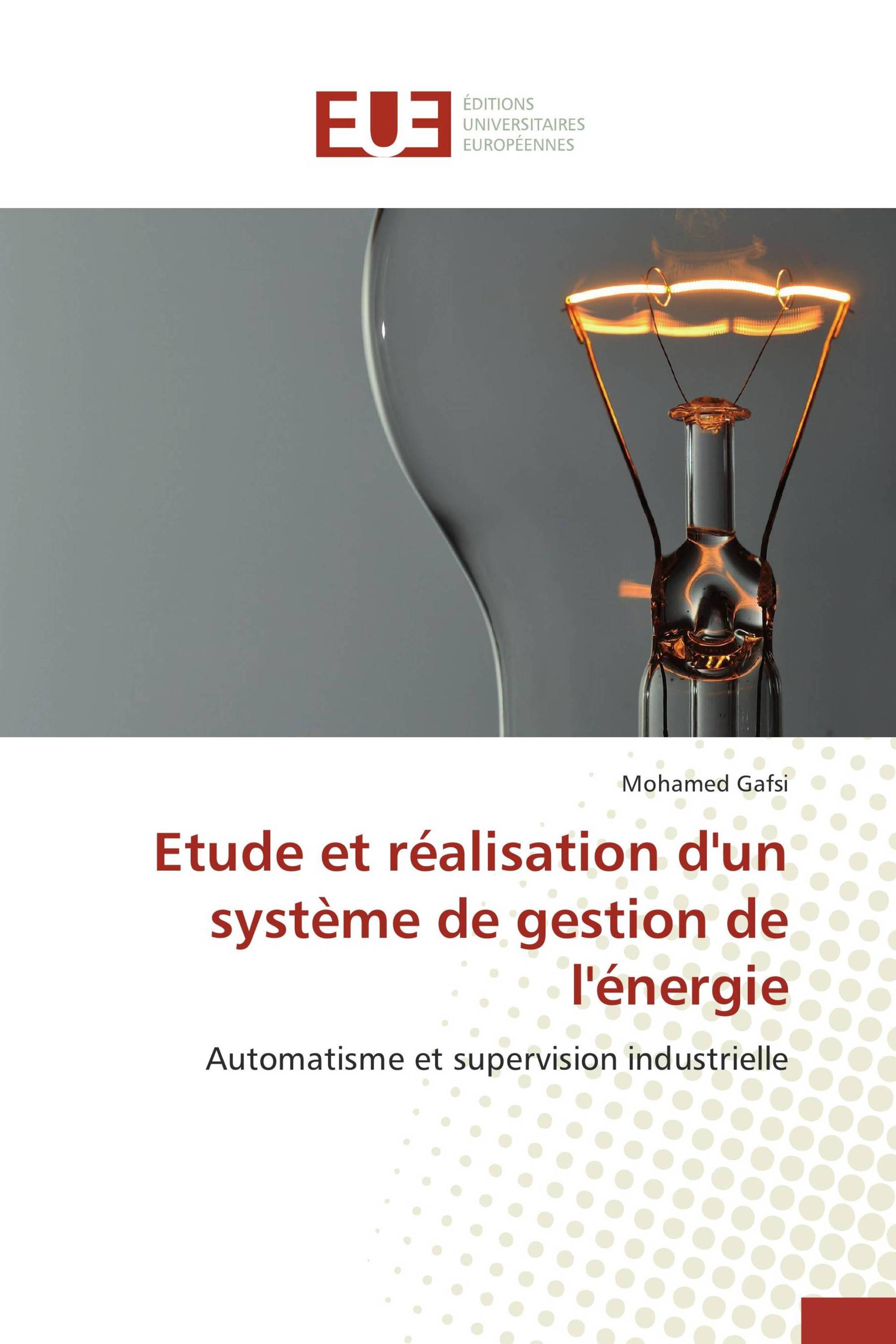 Etude et réalisation d'un système de gestion de l'énergie