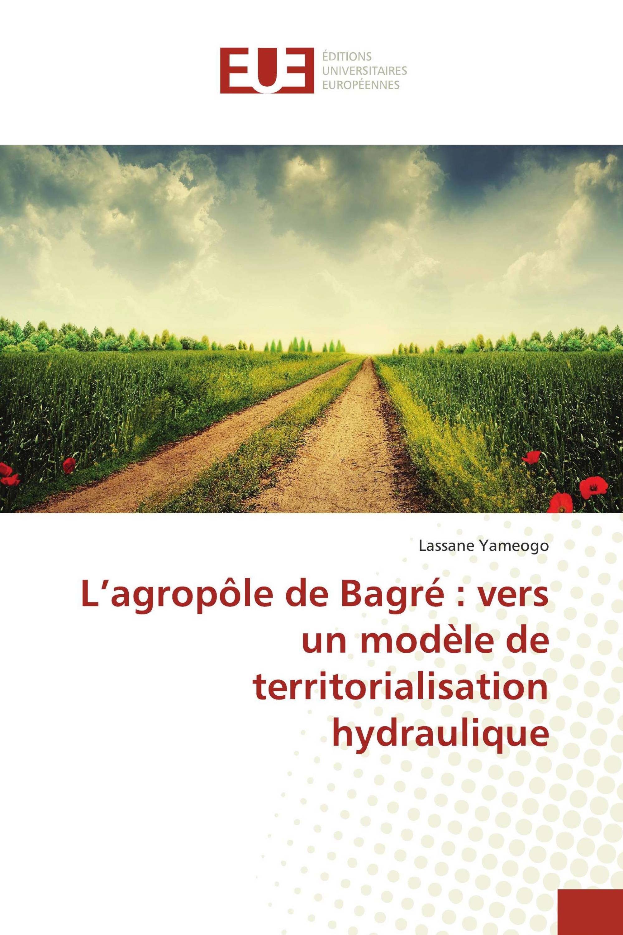 L’agropôle de Bagré : vers un modèle de territorialisation hydraulique