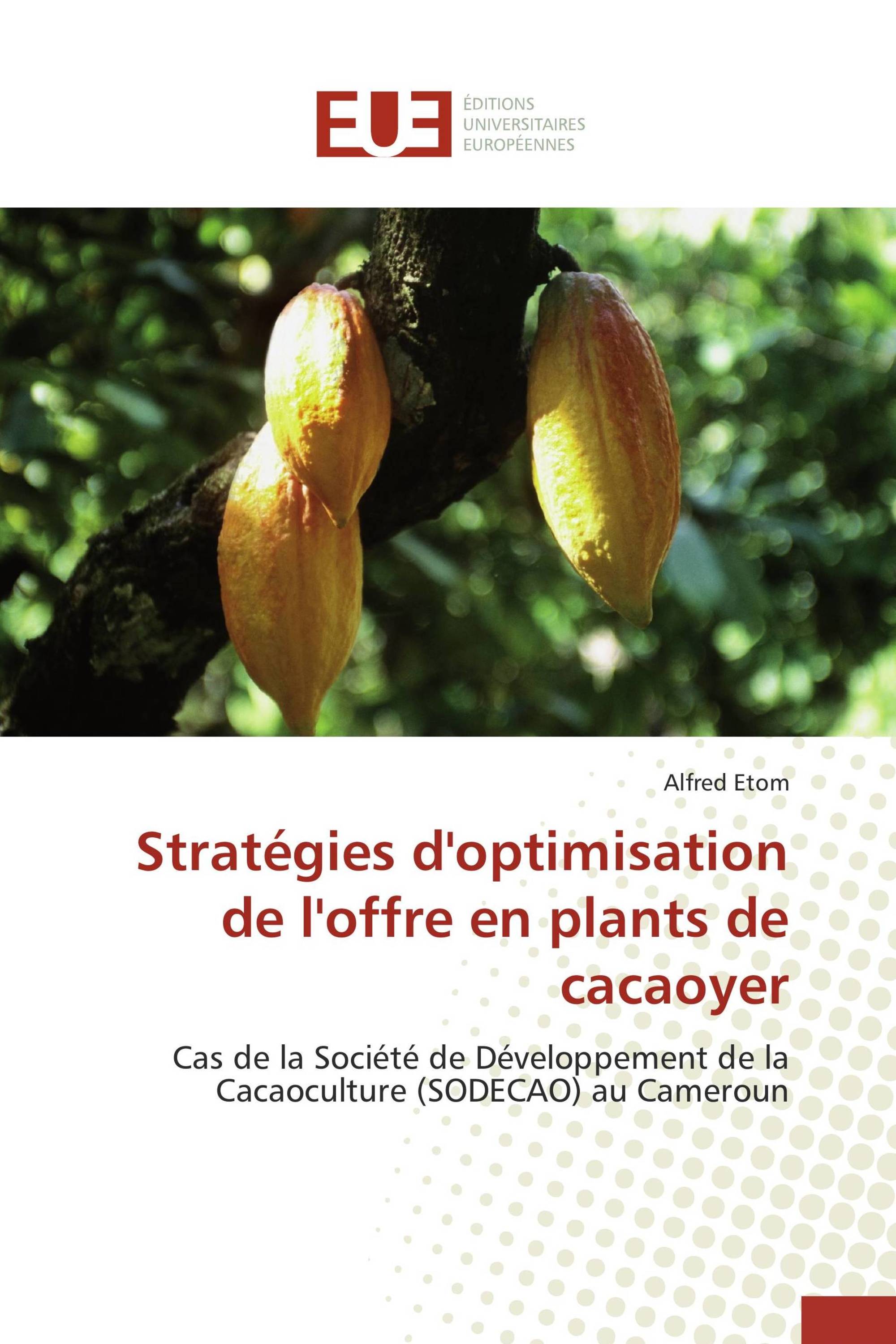 Stratégies d'optimisation de l'offre en plants de cacaoyer